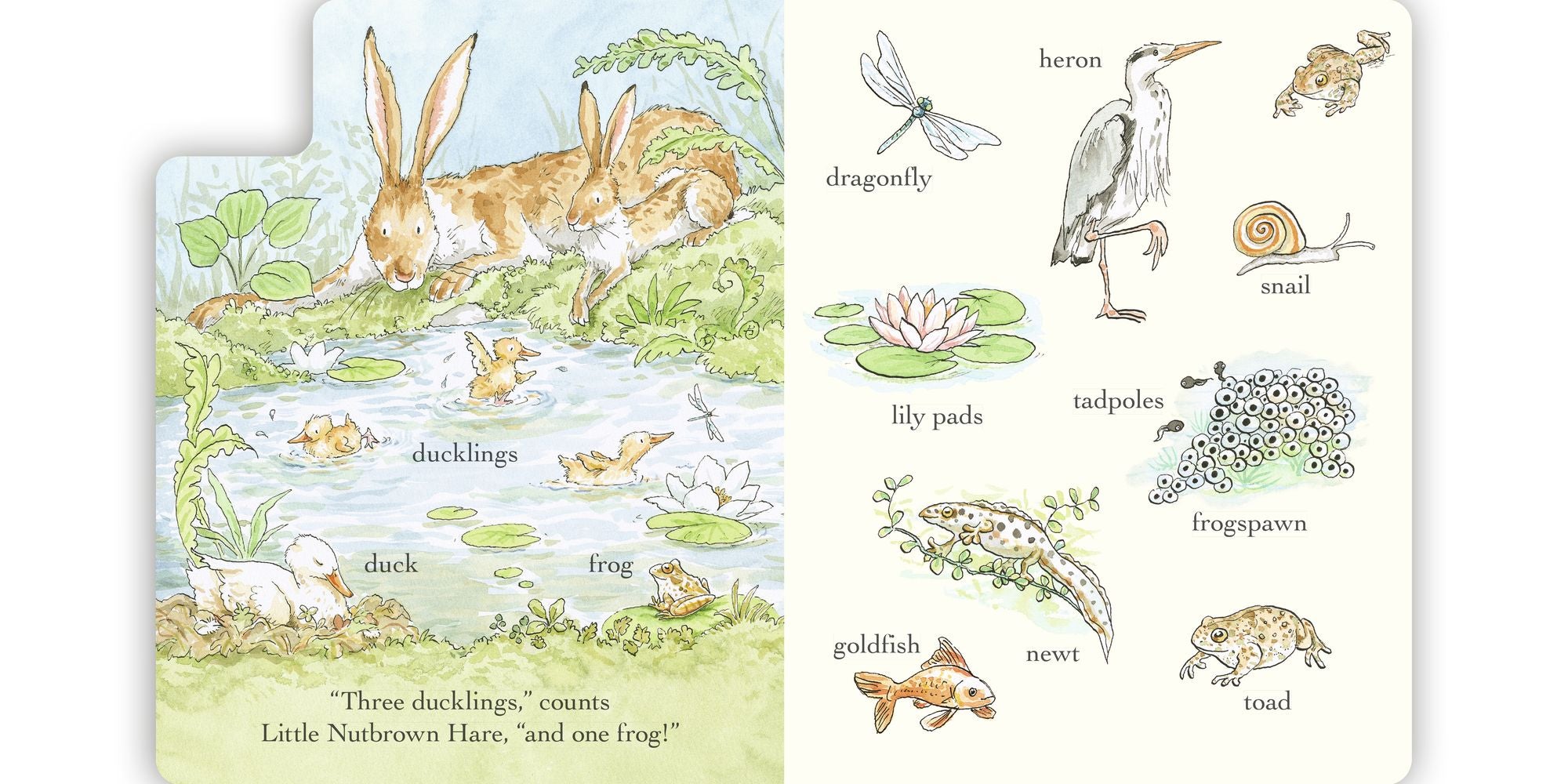 Out and About in 100 Words: A Guess How Much I Love You Book: (An Interactive First Word Book With Nature Scenes, Gentle Learning, & the Beloved Nutbrown Hare for Kids Ages 2-5)