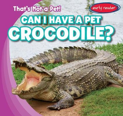Can I Have a Pet Crocodile?