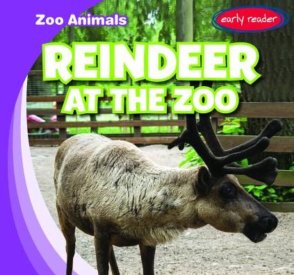 Reindeer at the Zoo