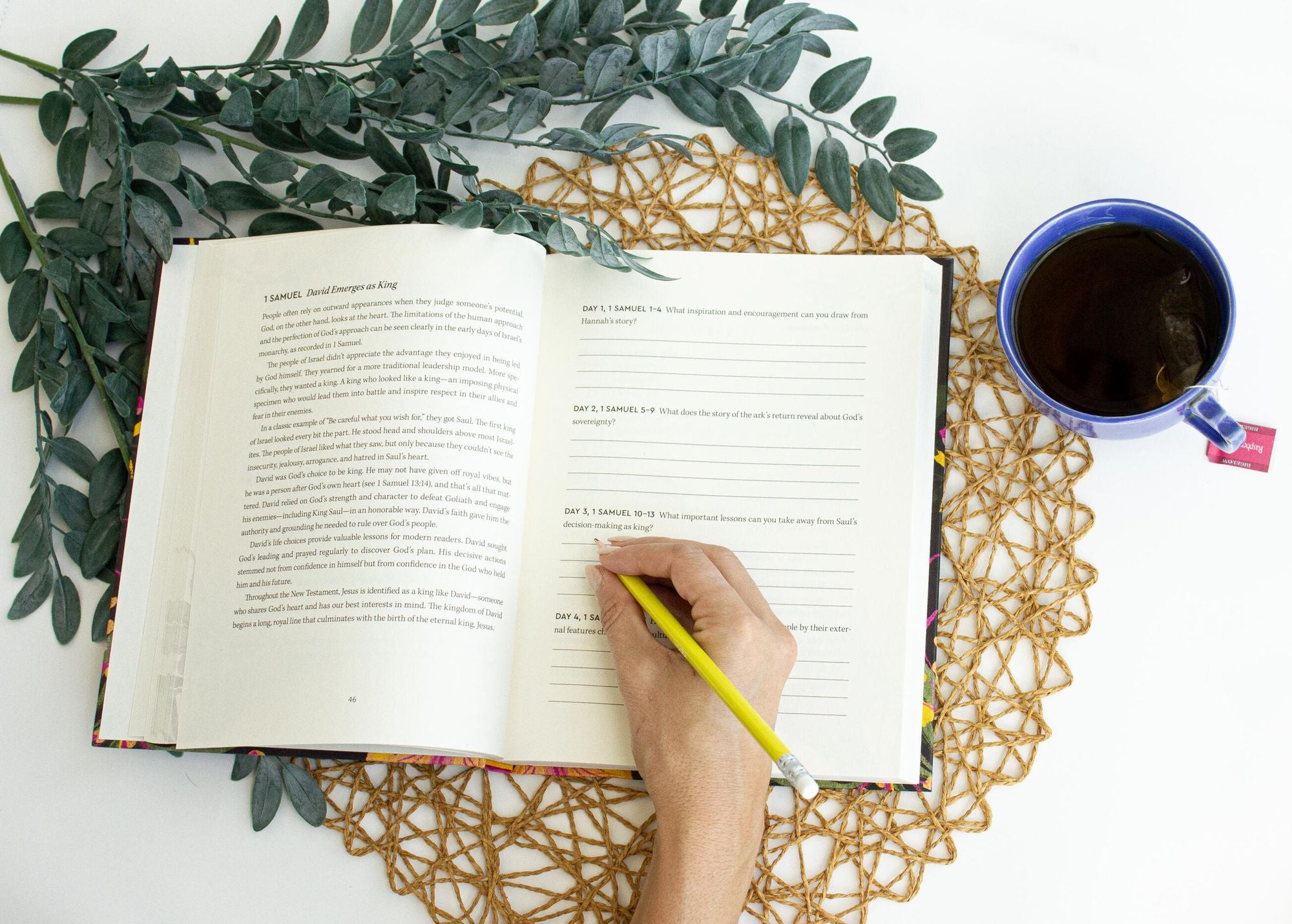 A Yearlong Journey Through the Bible: A 52-Week Bible Study for Dwelling in God's Word