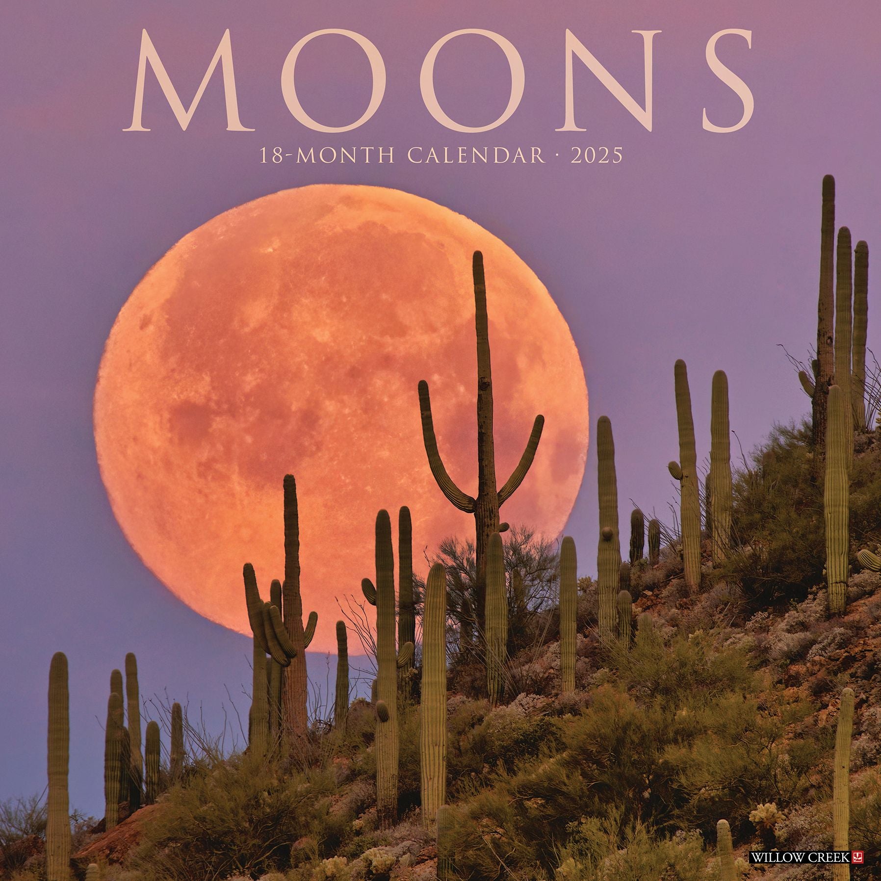 Moons 2026 Wall Calendar