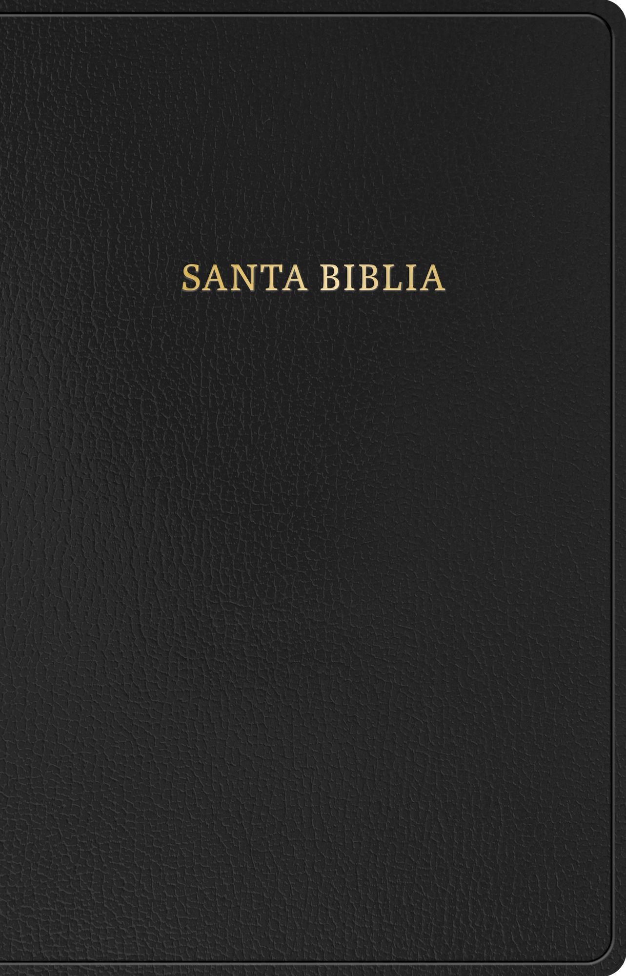 RV 1909 Biblia clásica con referencia, negro imitación piel