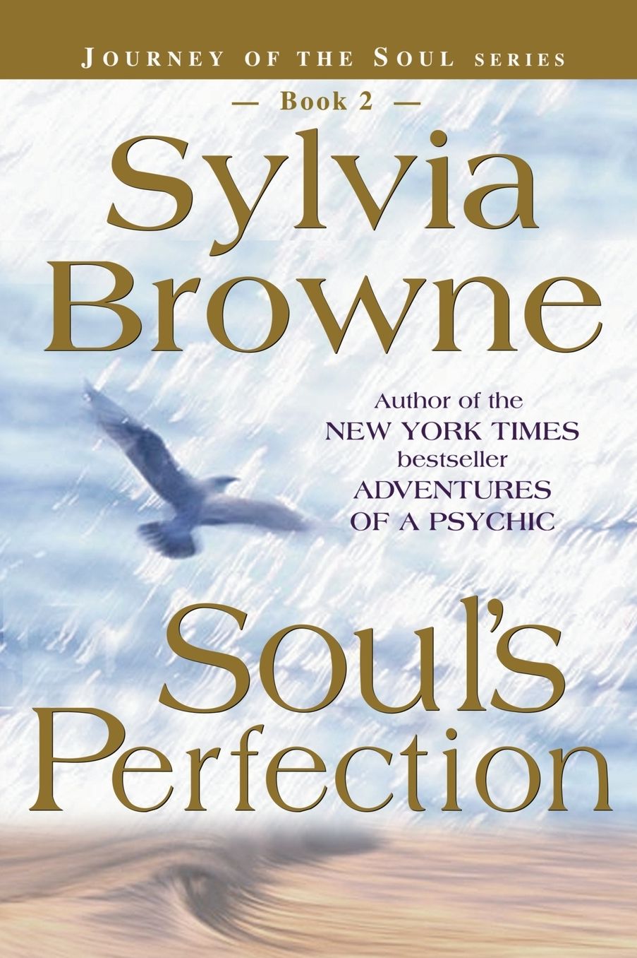 Soul's Perfection (Journey of the Soul Series #2)