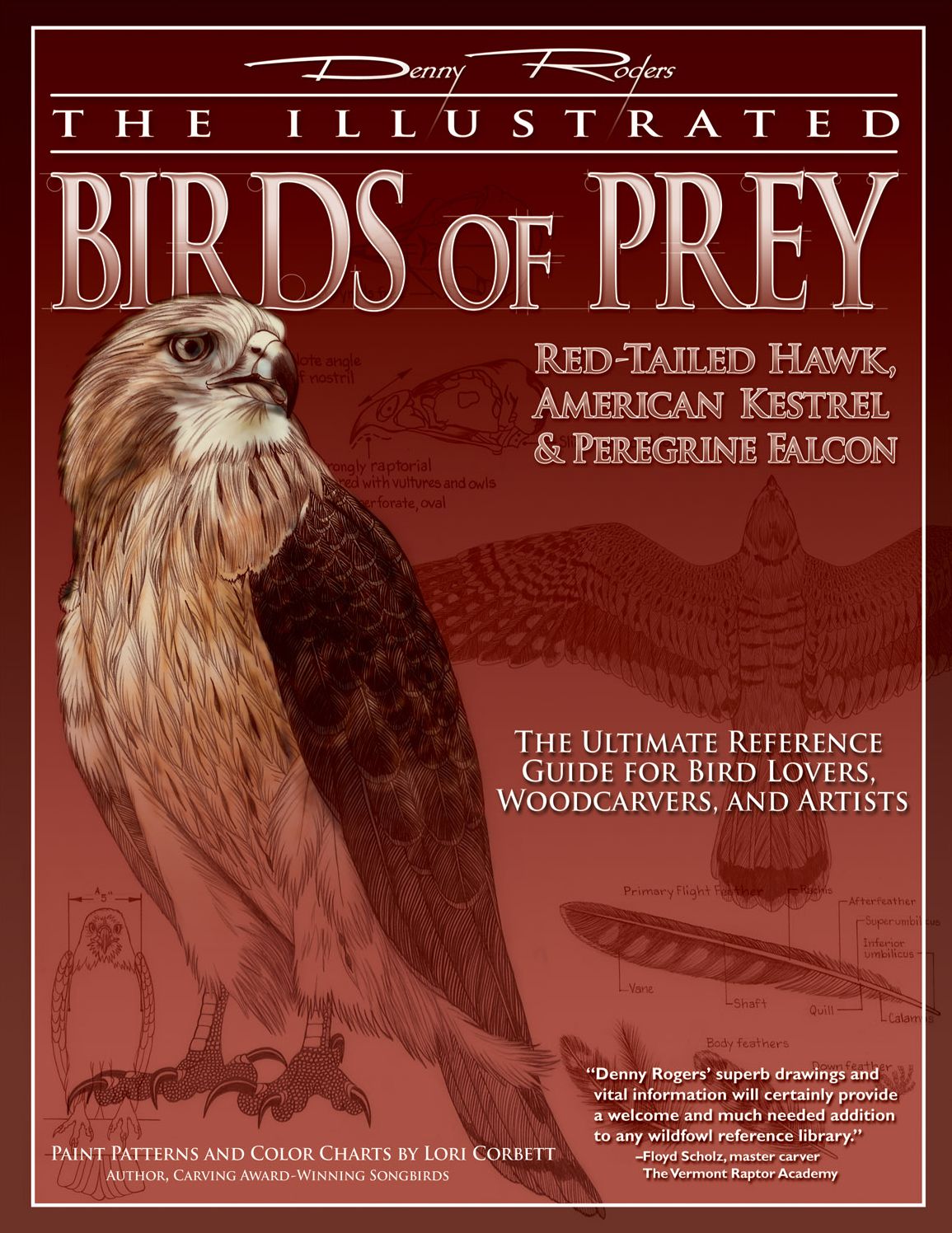 Illustrated Birds of Prey: Red-Tailed Hawk, American Kestral, & Peregrine Falcon: The Ultimate Reference Guide for Bird Lovers, Woodcarvers, and Artists