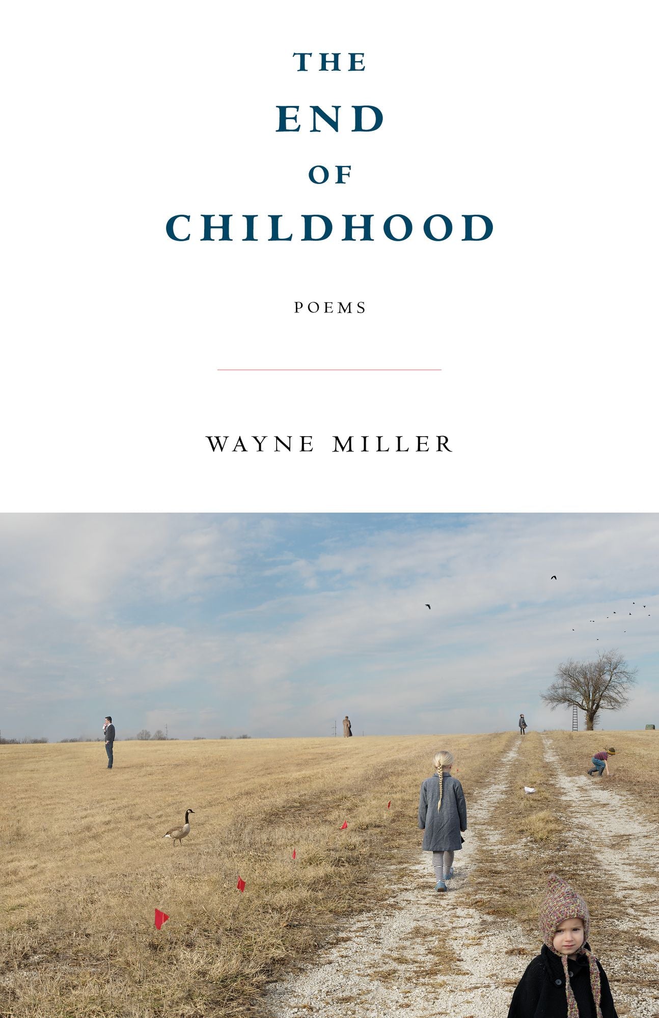 The End of Childhood: Poems
