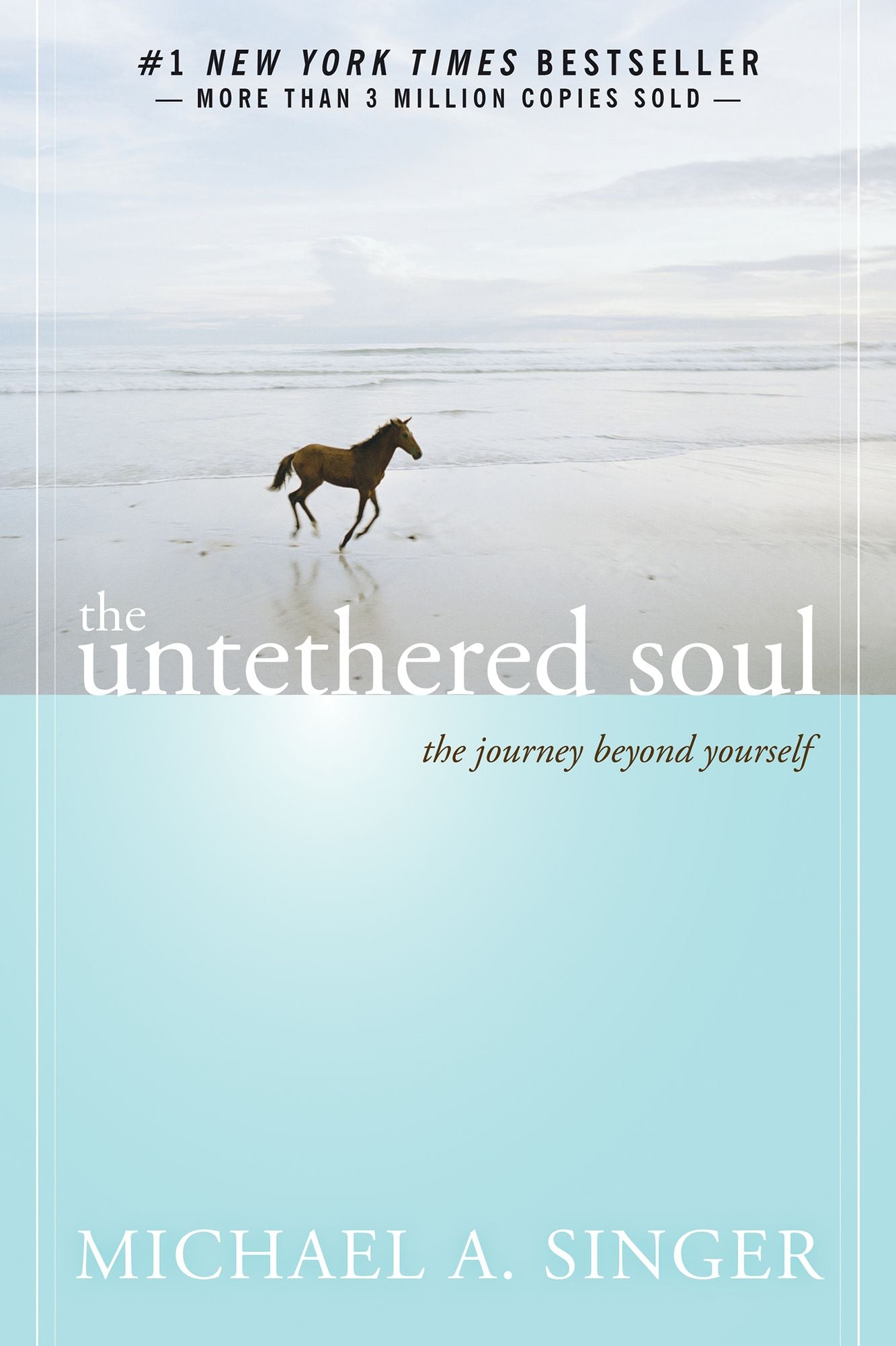 The Untethered Soul: The Journey Beyond Yourself