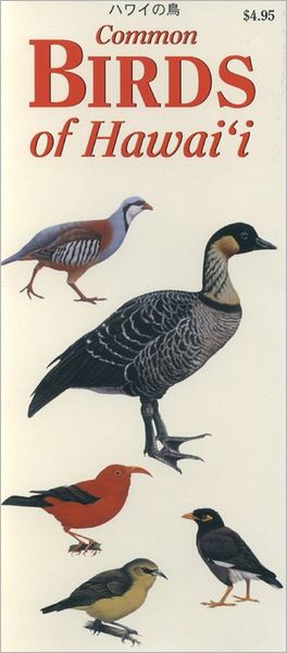 Common Birds of Hawaii