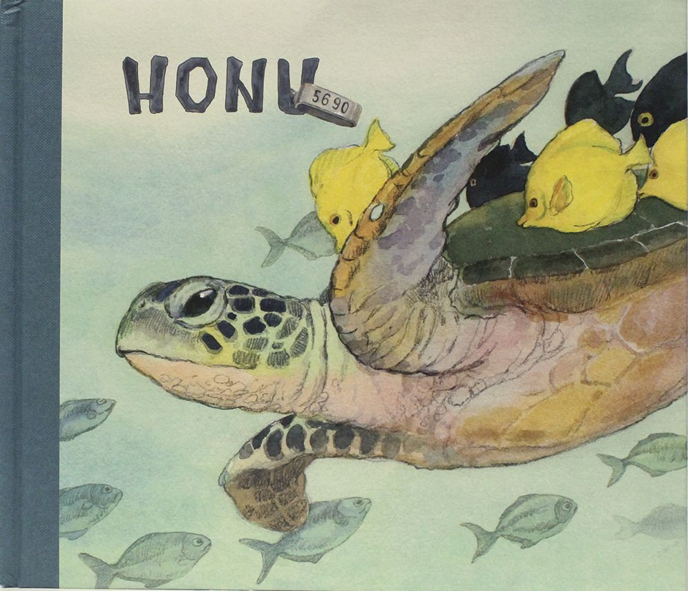Honu 5690