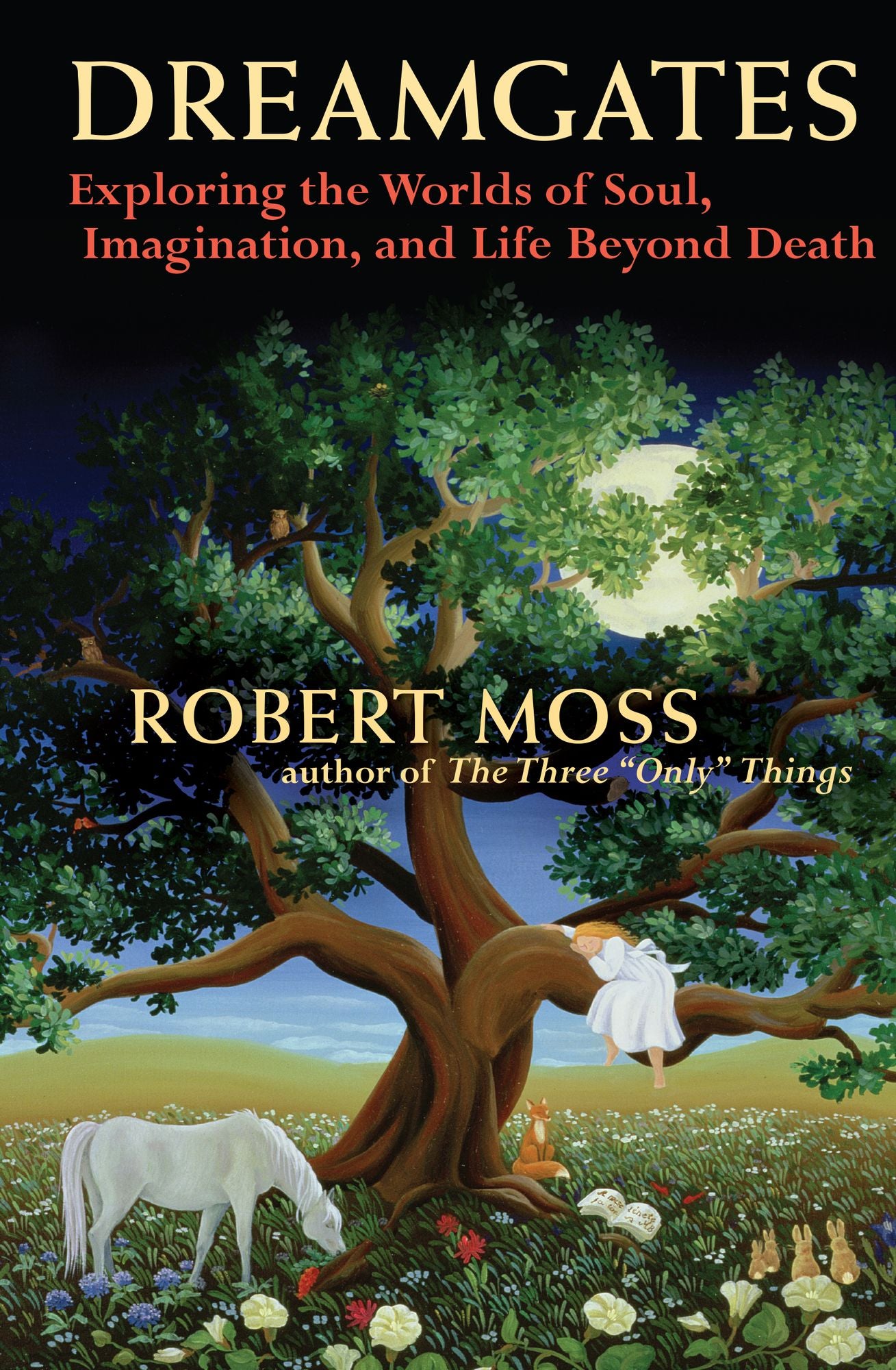 Dreamgates: Exploring the Worlds of Soul, Imagination, and Life Beyond Death