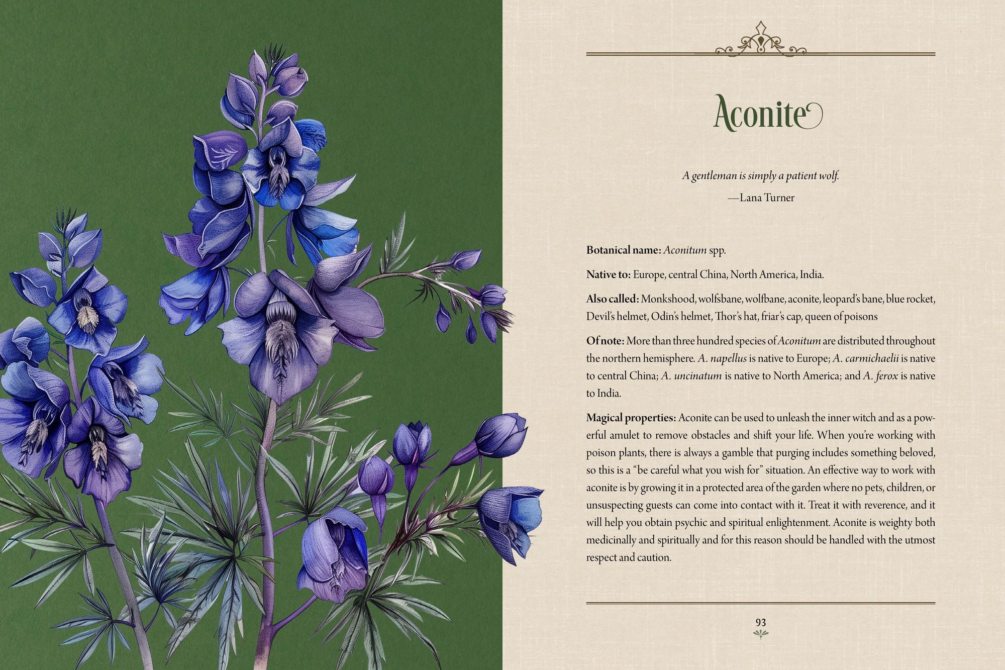 Enchanted Plants: A Treasury of Botanical Folklore and Magic