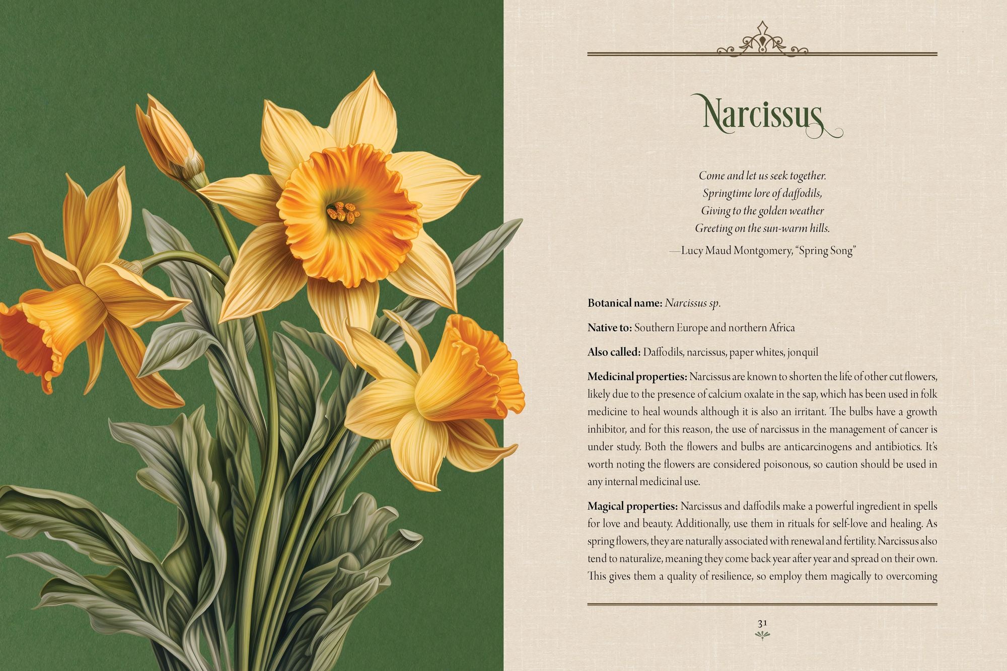 Enchanted Plants: A Treasury of Botanical Folklore and Magic