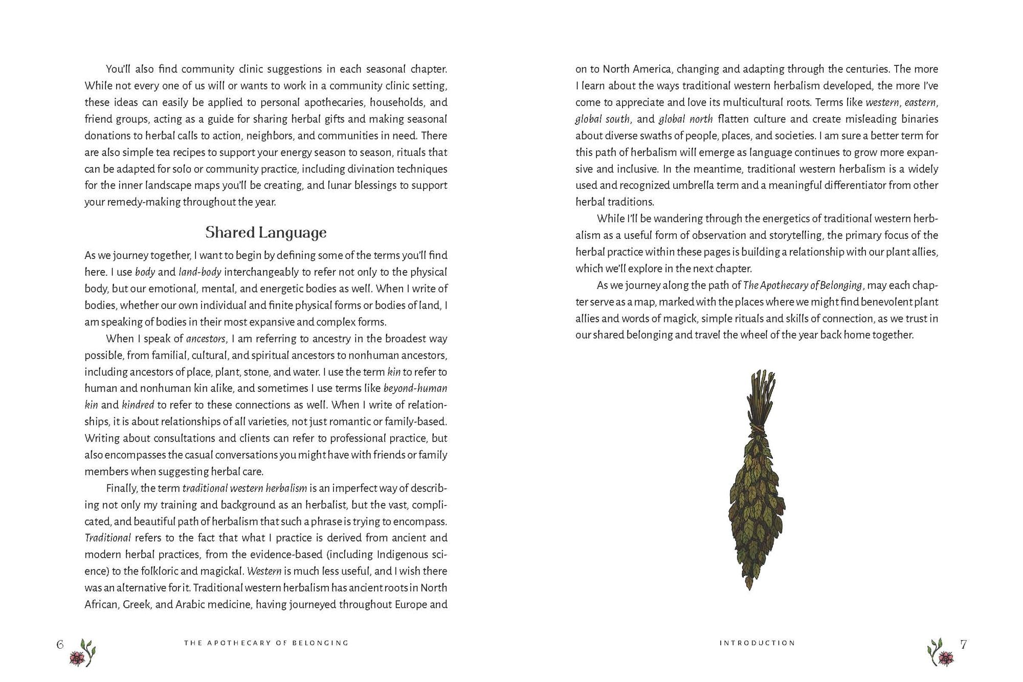 The Apothecary of Belonging: Seasonal Rituals and Practical Herbalism