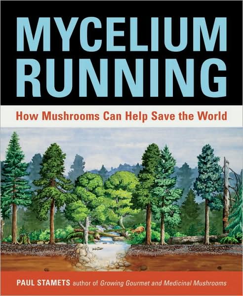 Mycelium Running: How Mushrooms Can Help Save the World