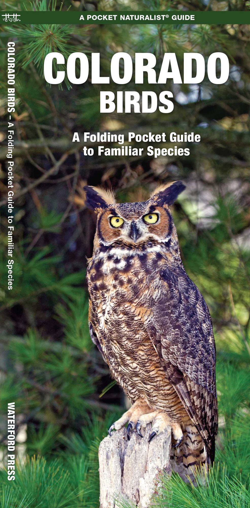 Colorado Birds: A Folding Pocket Guide to Familiar Species