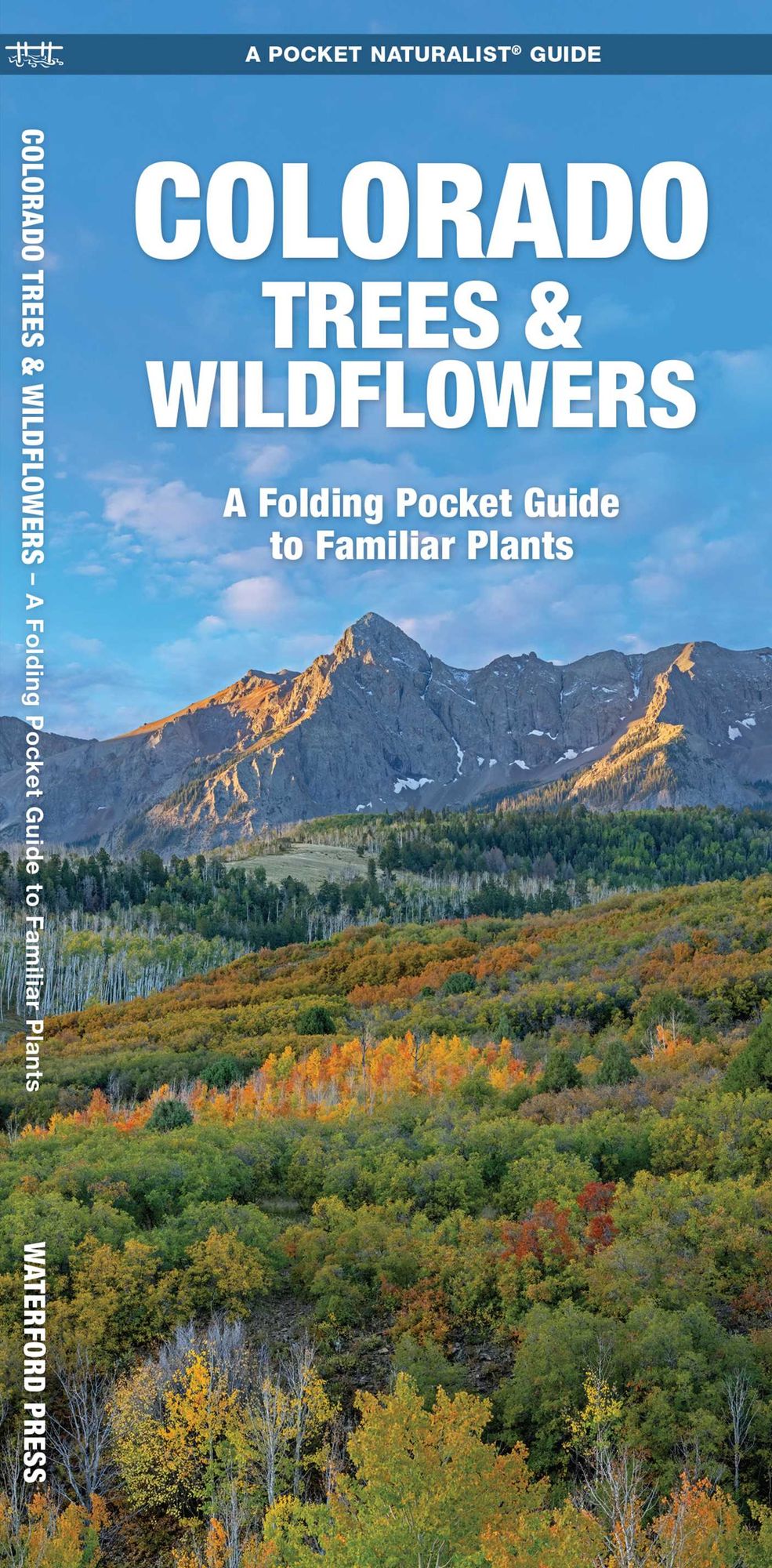 Colorado Trees & Wildflowers: A Folding Pocket Guide to Familiar Plants