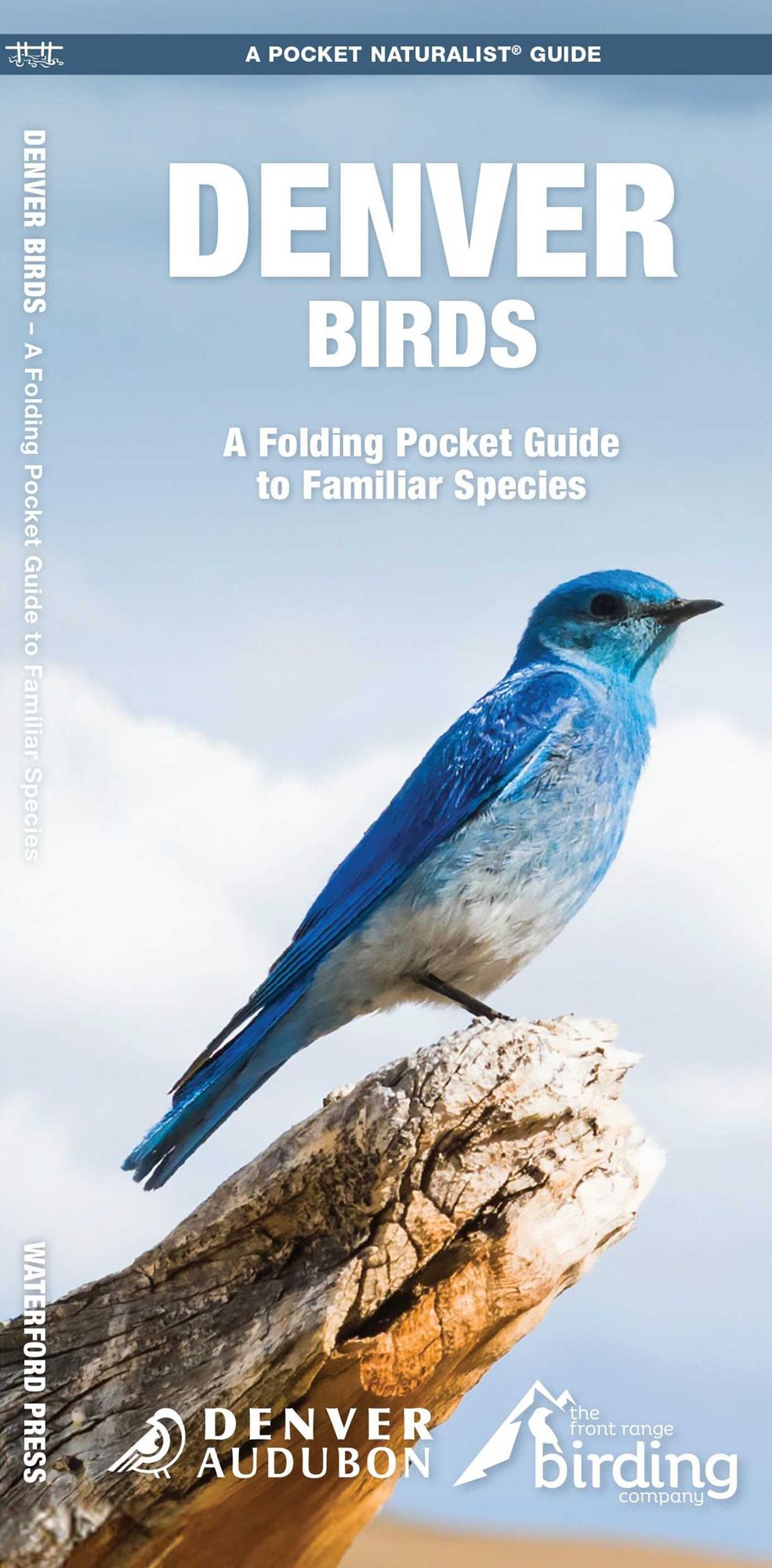 Denver Birds, 2nd Ed: A Folding Pocket Guide to Familiar Species