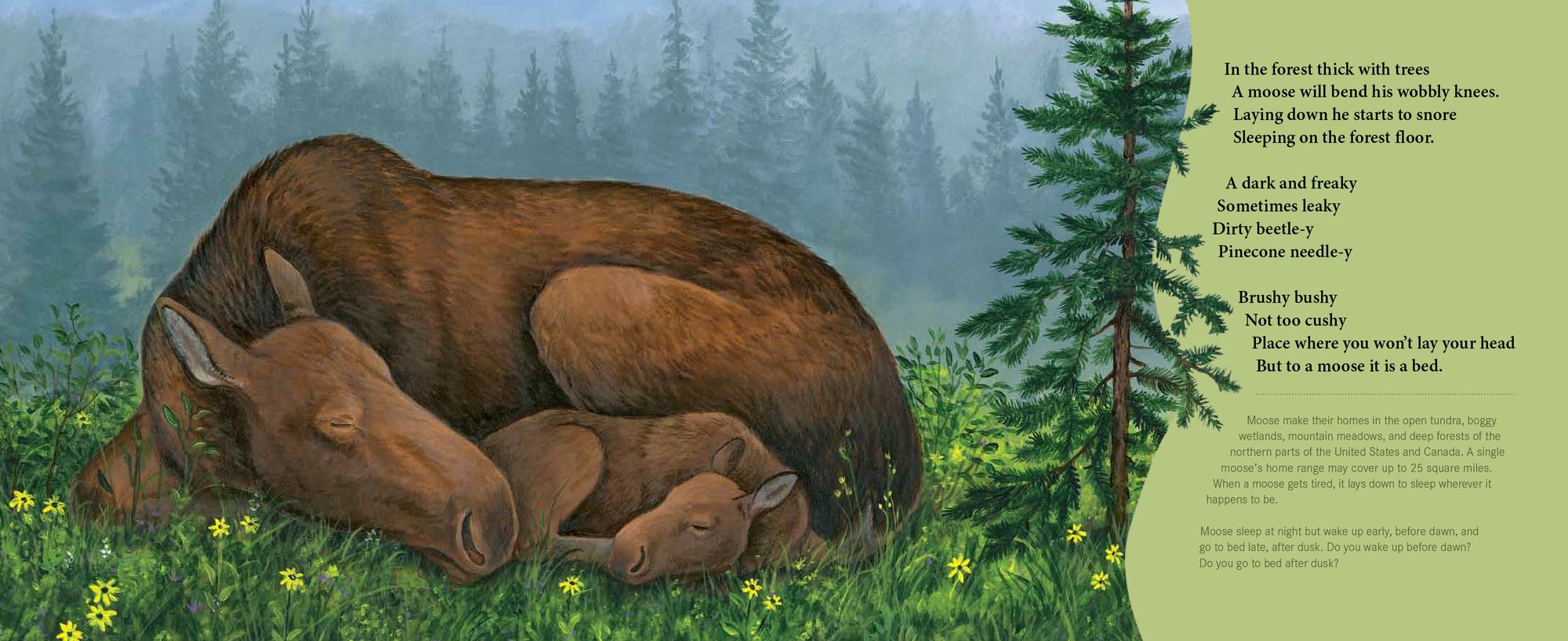 Sleepy Snoozy Cozy Coozy: A Book of Animal Beds