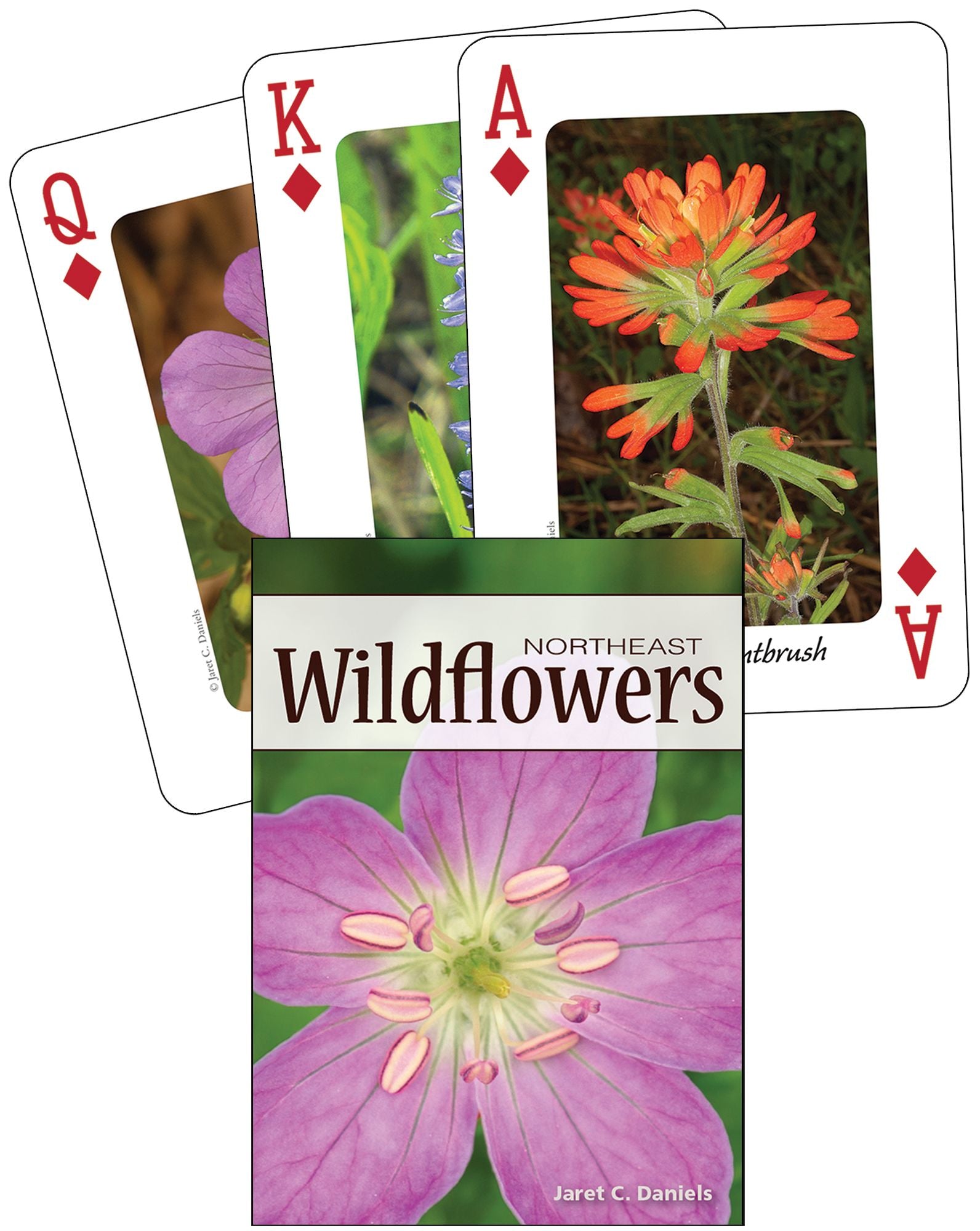 Wildflowers of the Northeast Playing Cards