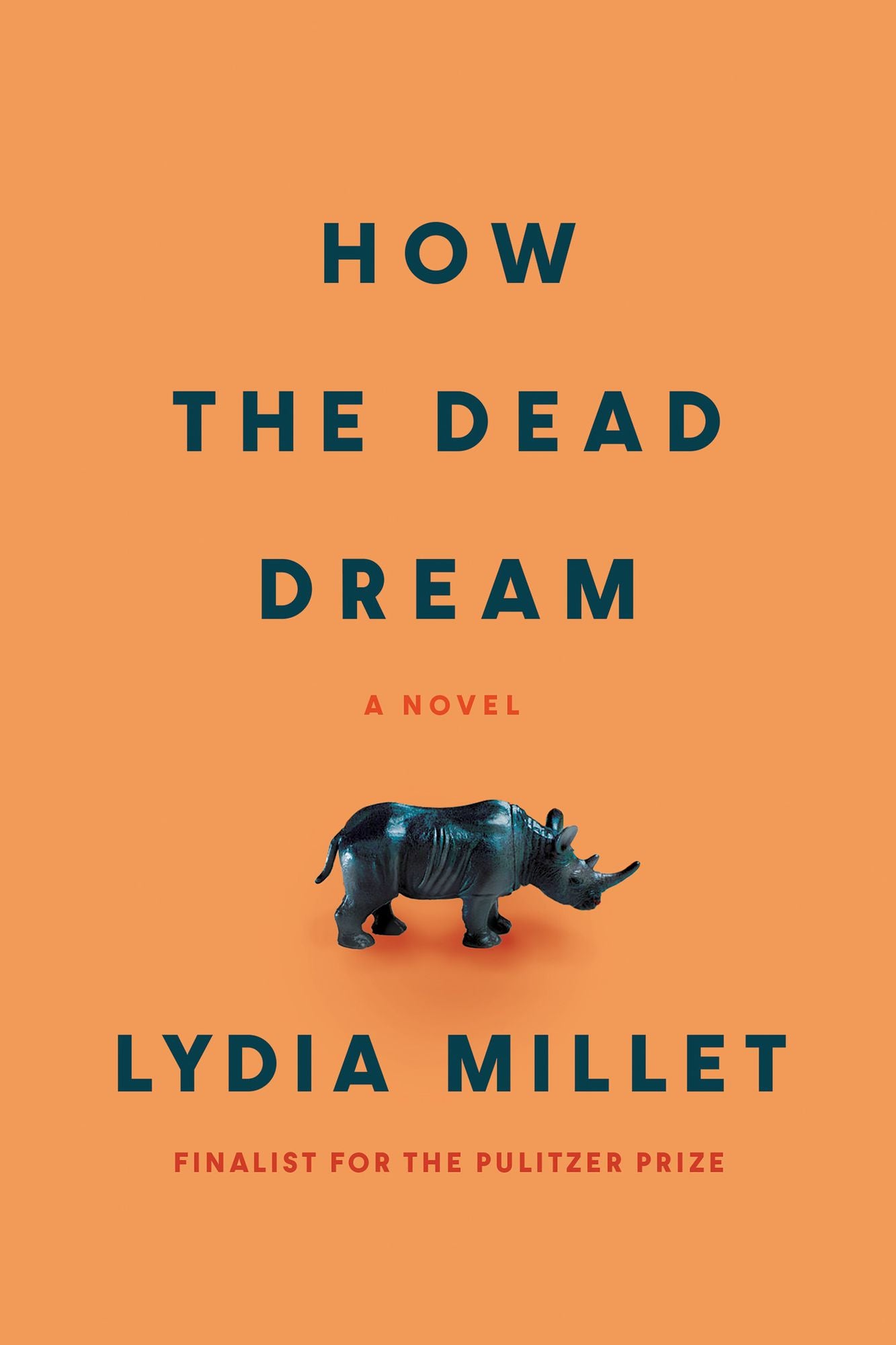 How the Dead Dream: A Novel