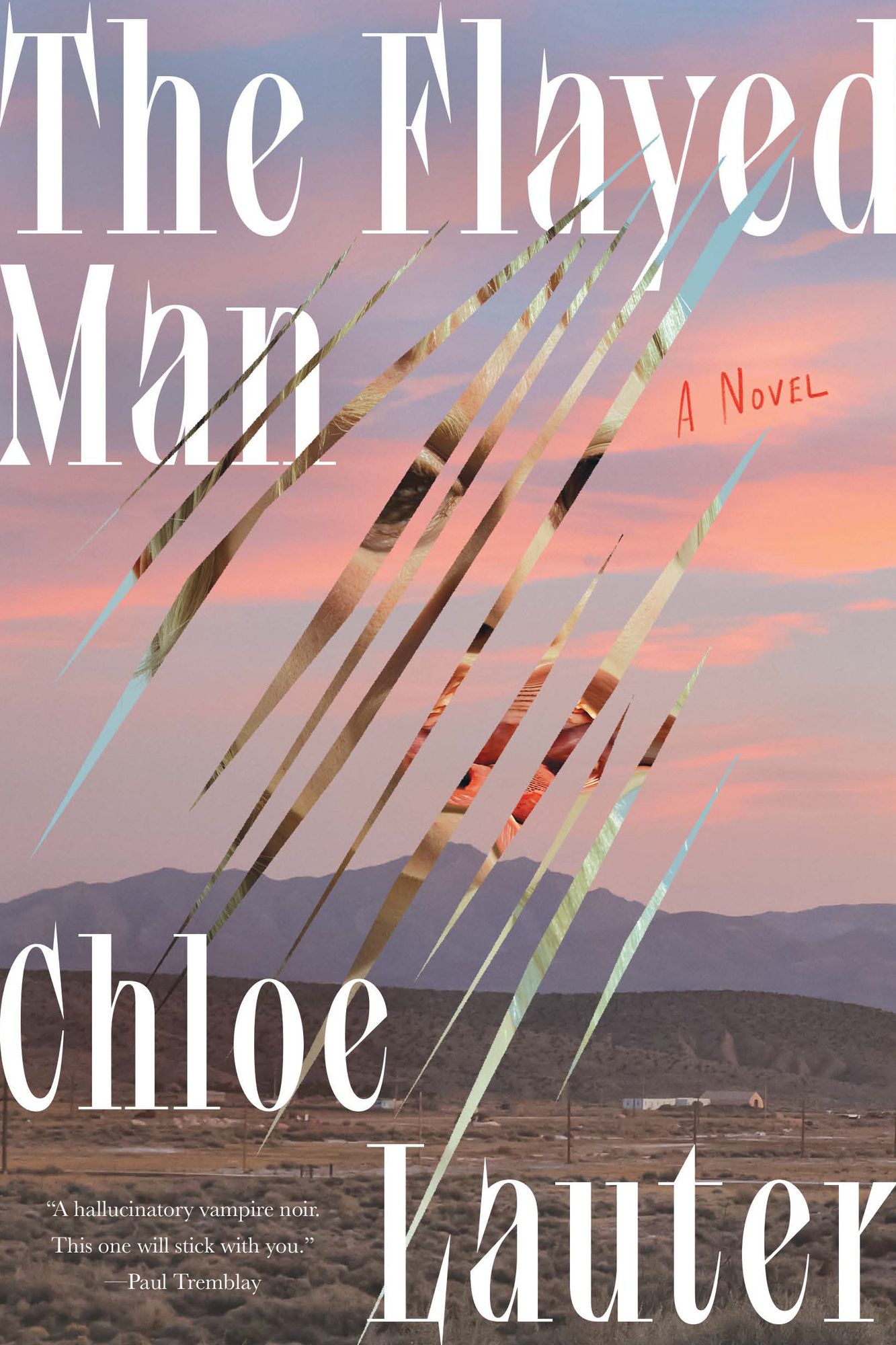 The Flayed Man: A Novel