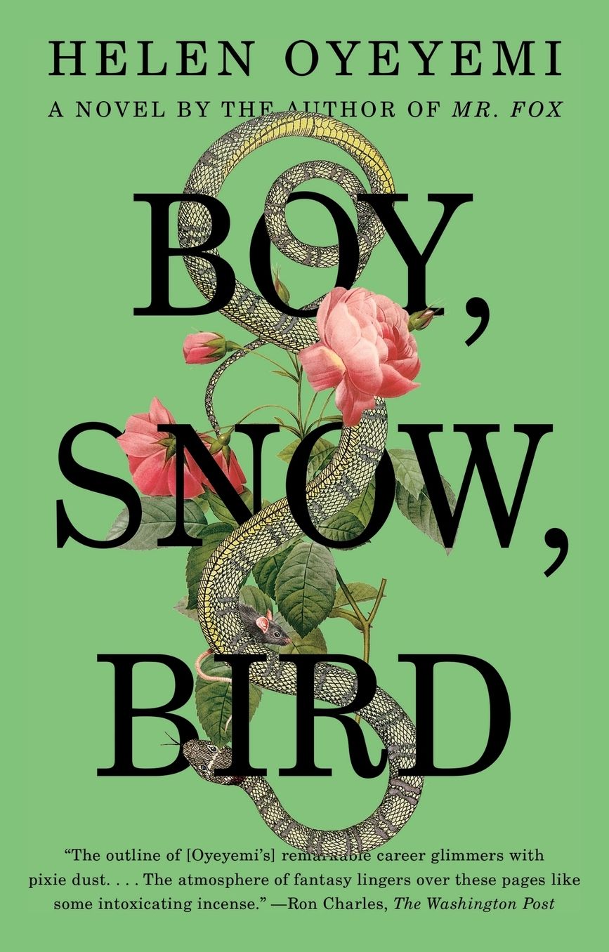 Boy, Snow, Bird