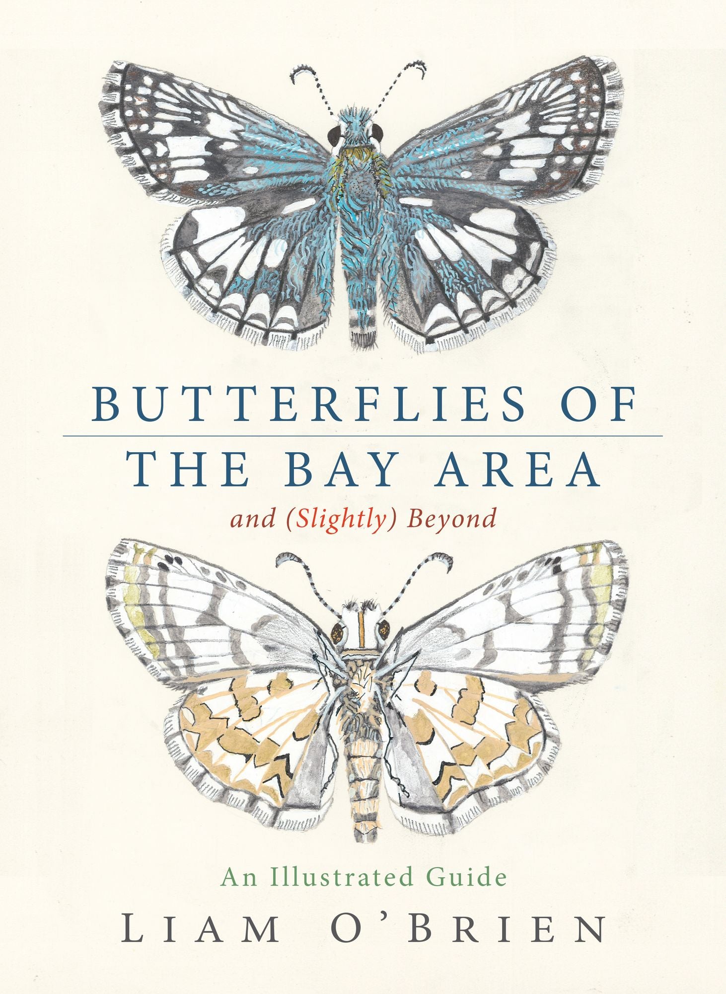 Butterflies of the Bay Area and (Slightly) Beyond: An Illustrated Guide