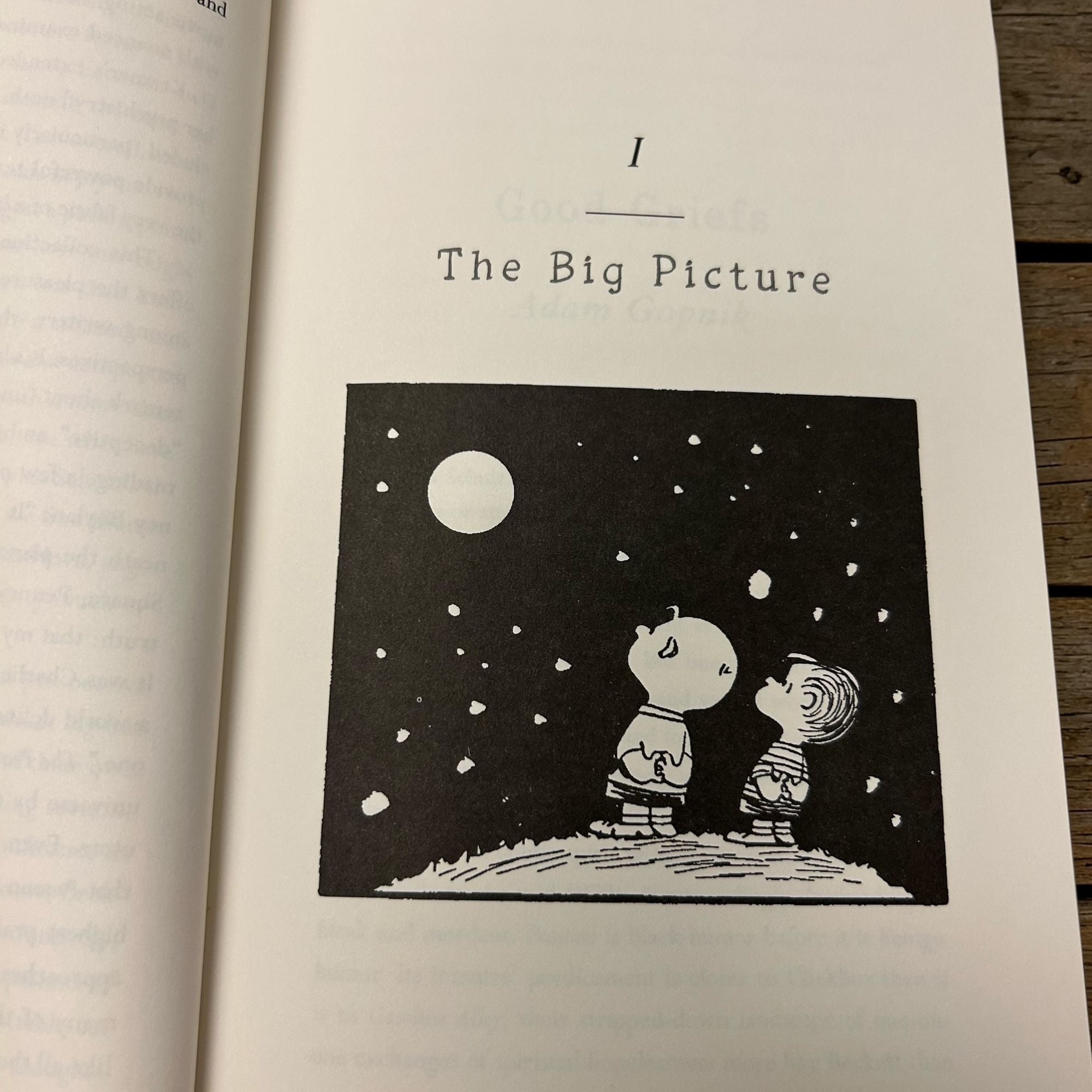 The Peanuts Papers: Writers and Cartoonists on Charlie Brown, Snoopy & the Gang,and the Meaning of Life: A Library of America Special Publication
