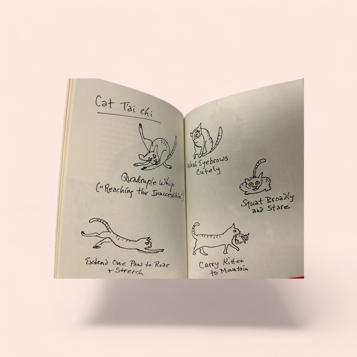 Ursula K. Le Guin's Book of Cats