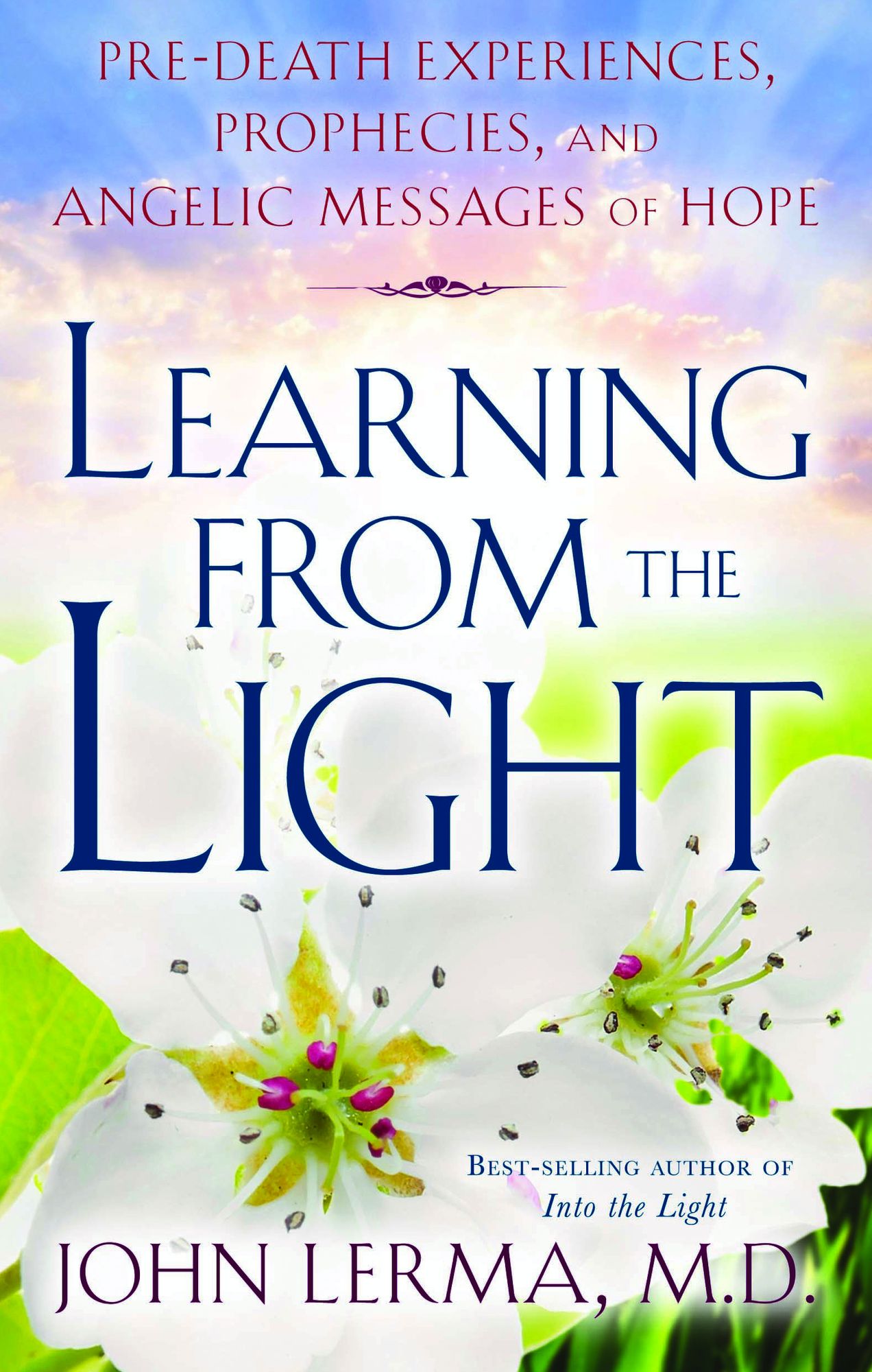 Learning From the Light: Pre-death Experiences, Prophecies, and Angelic Messages of Hope