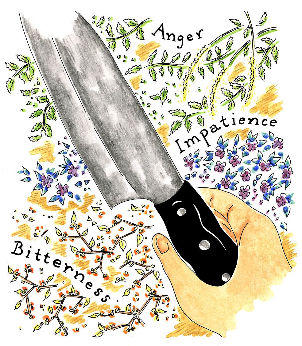 Where There's Smoke, There's Dinner: Confessions of a Cartoonist Cook