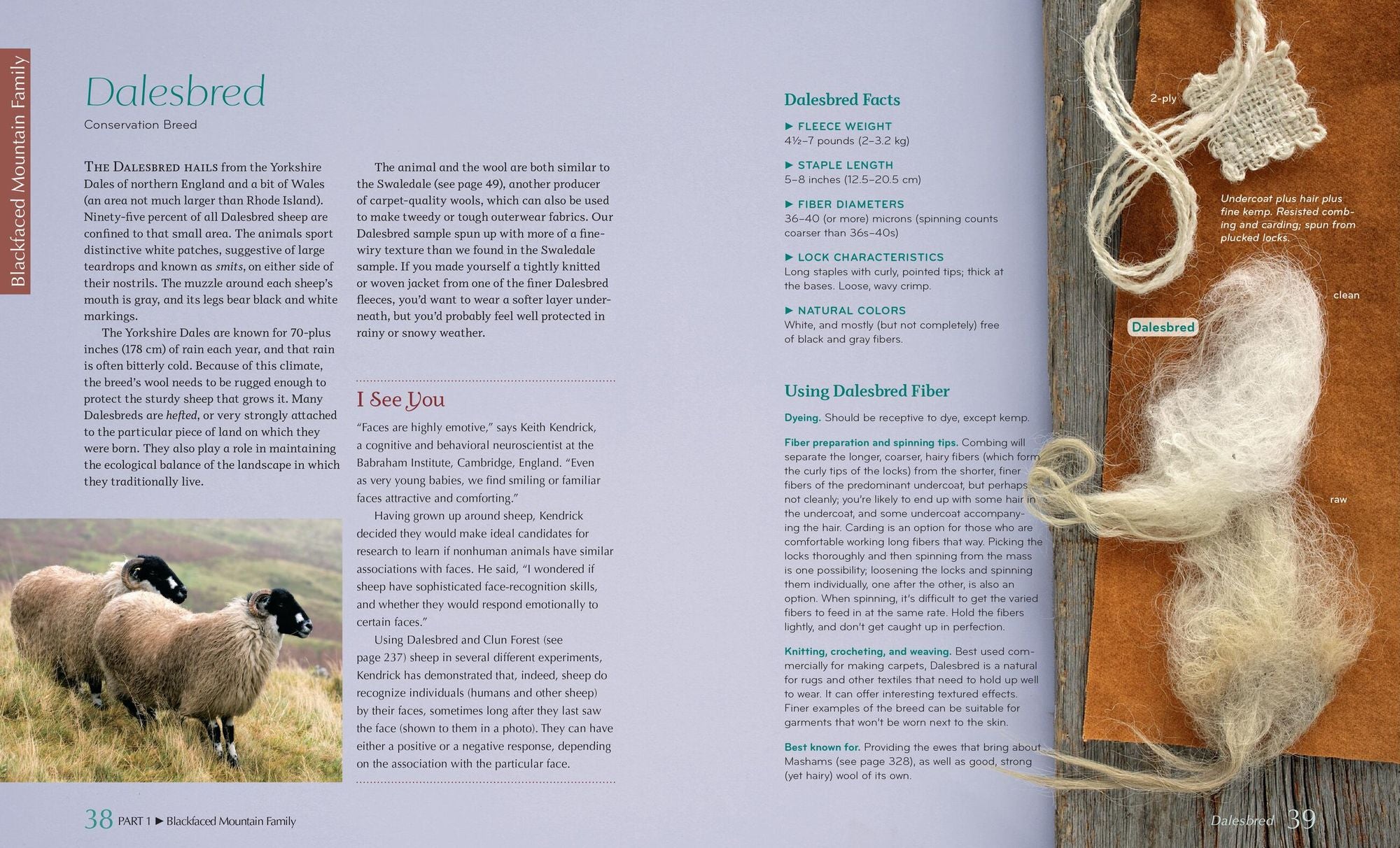 The Fleece and Fiber Sourcebook: More Than 200 Fibers, from Animal to Spun Yarn
