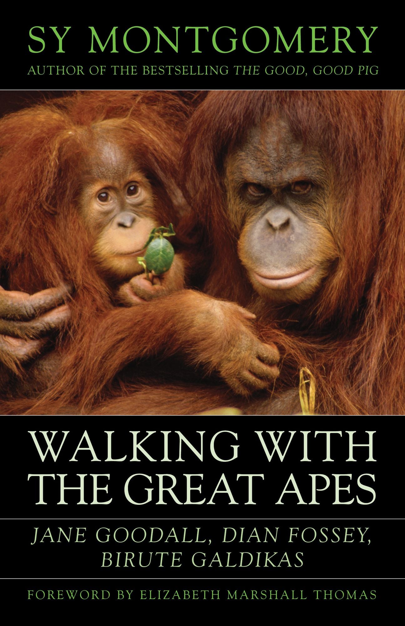 Walking with the Great Apes: Jane Goodall, Dian Fossey, Biruté Galdikas