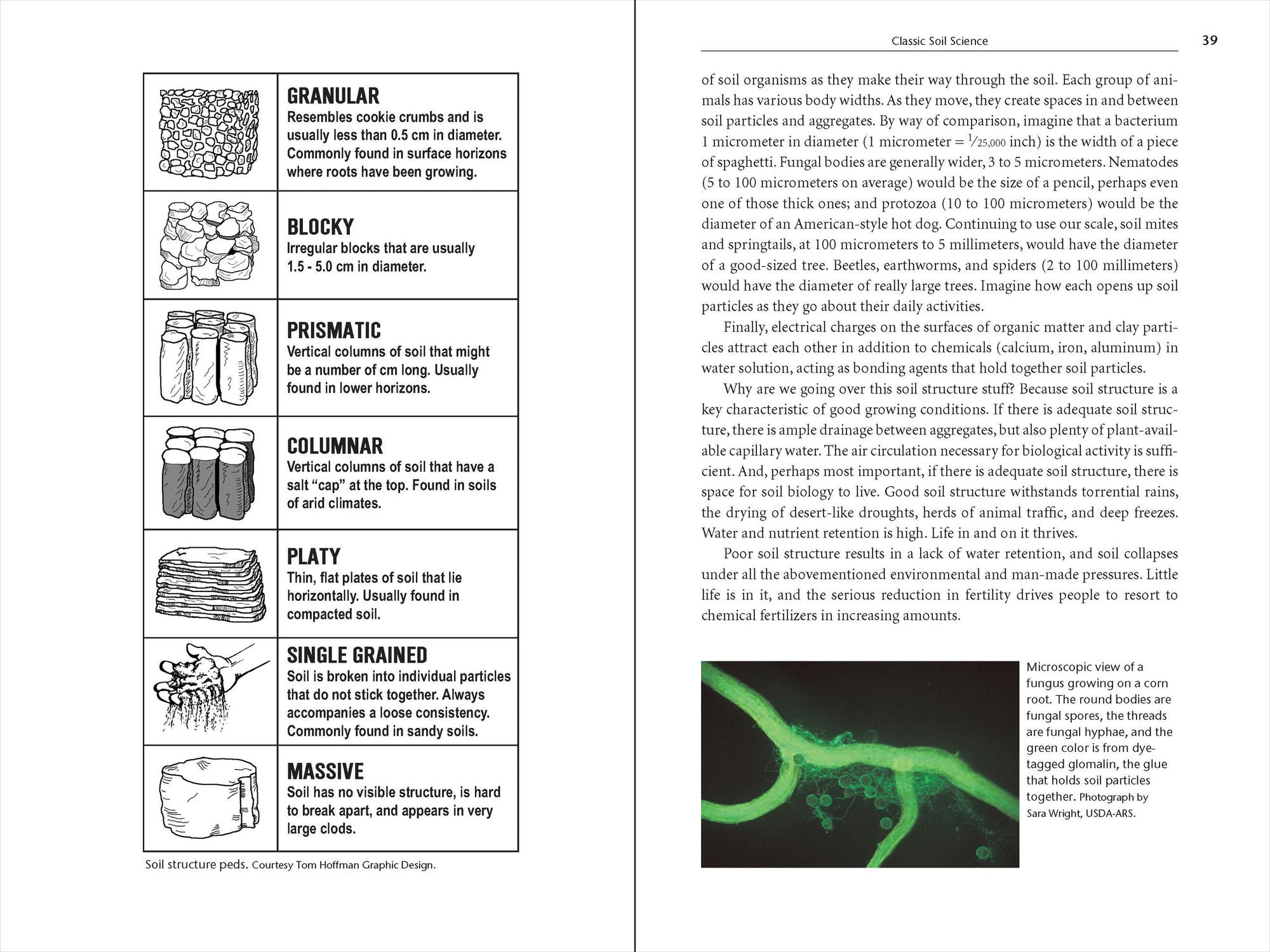Teaming with Microbes: The Organic Gardener's Guide to the Soil Food Web, Revised Edition