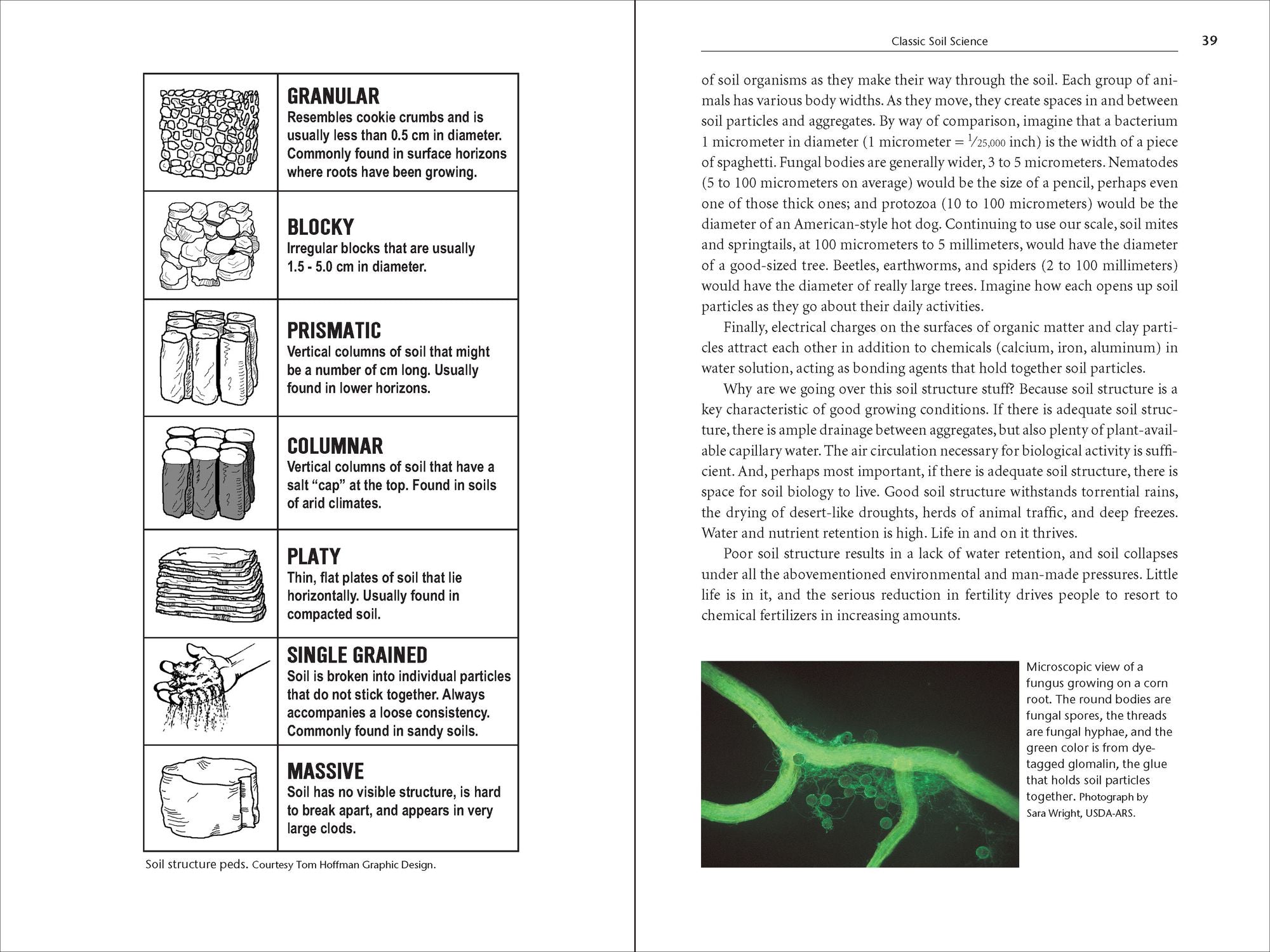 Teaming with Microbes: The Organic Gardener's Guide to the Soil Food Web, Revised Edition