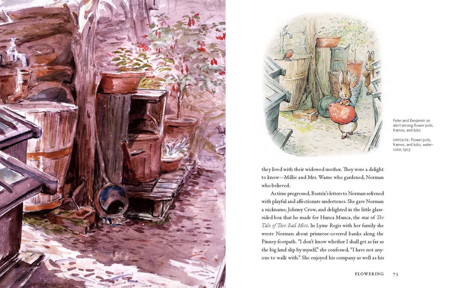Beatrix Potter's Gardening Life: The Plants and Places That Inspired the Classic Children's Tales