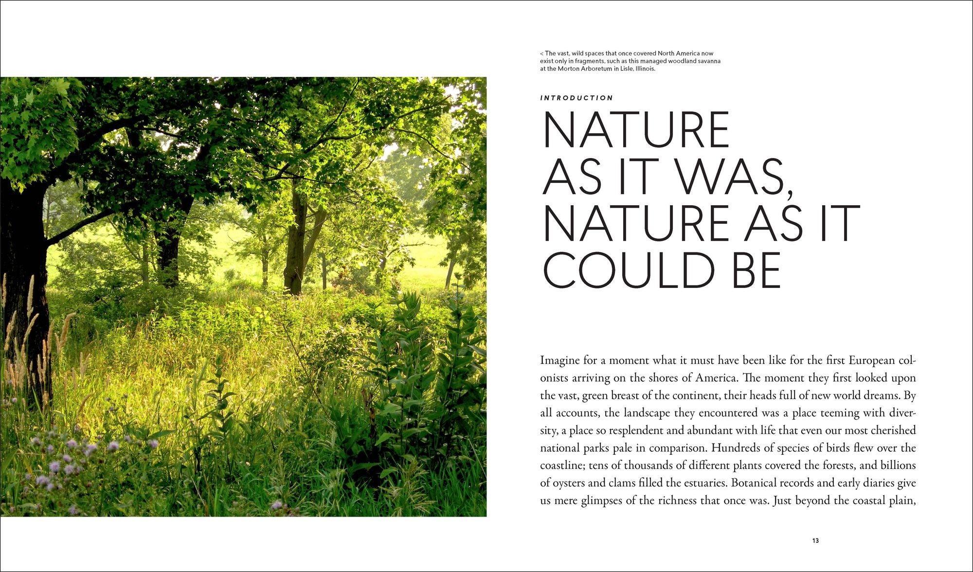 Planting in a Post-Wild World: Designing Plant Communities for Resilient Landscapes