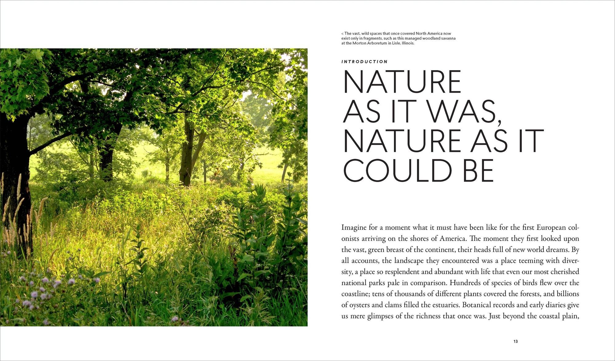 Planting in a Post-Wild World: Designing Plant Communities for Resilient Landscapes
