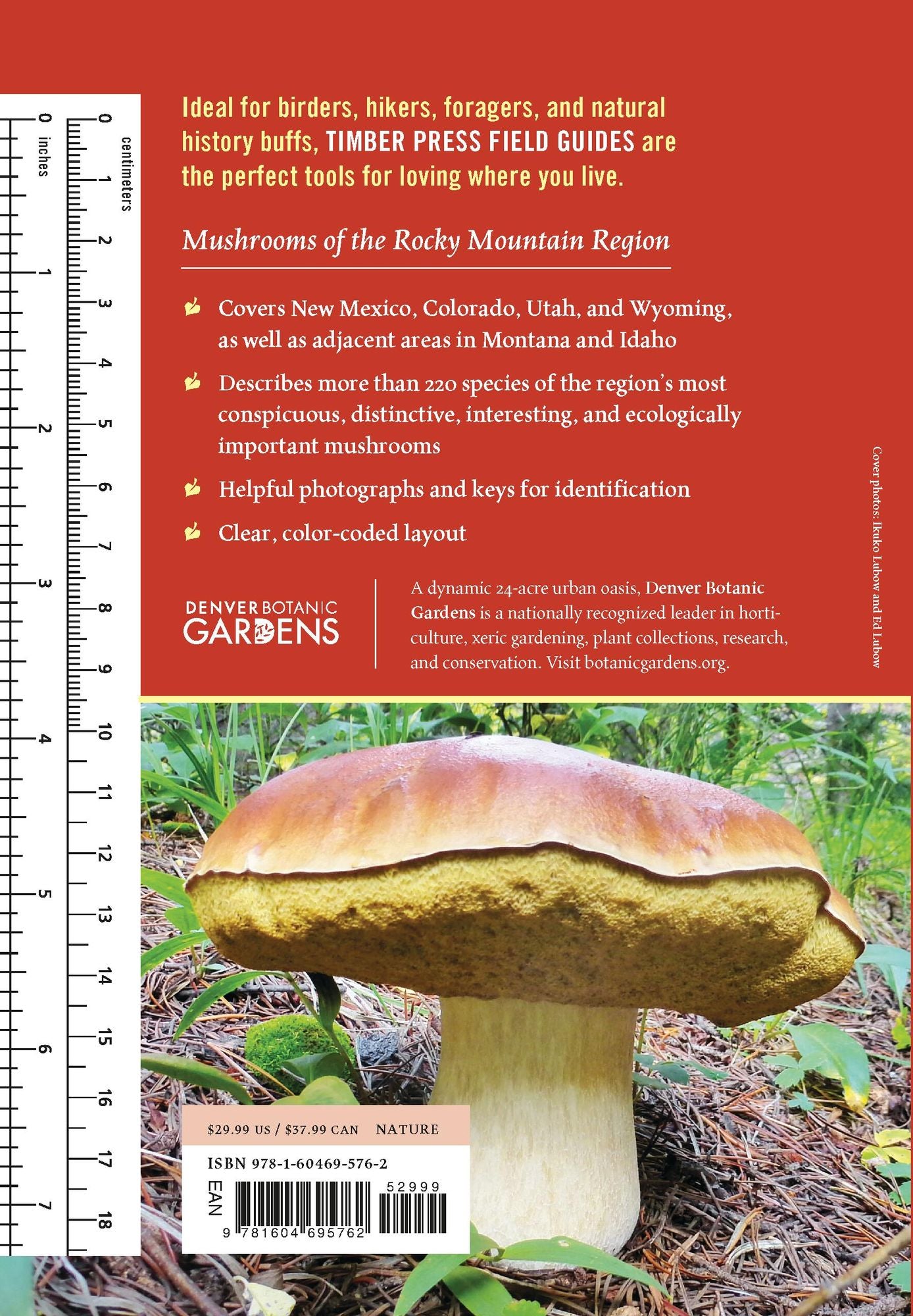 Mushrooms of the Rocky Mountain Region