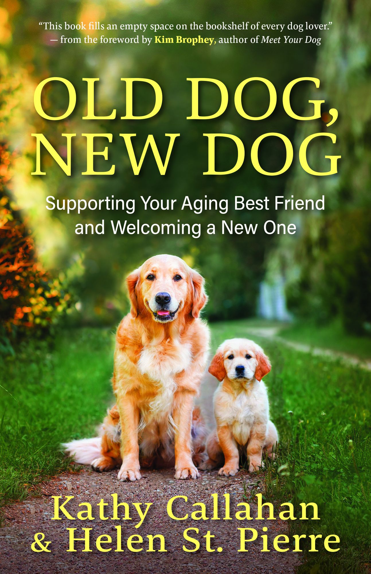 Old Dog, New Dog: Supporting Your Aging Best Friend and Welcoming a New One