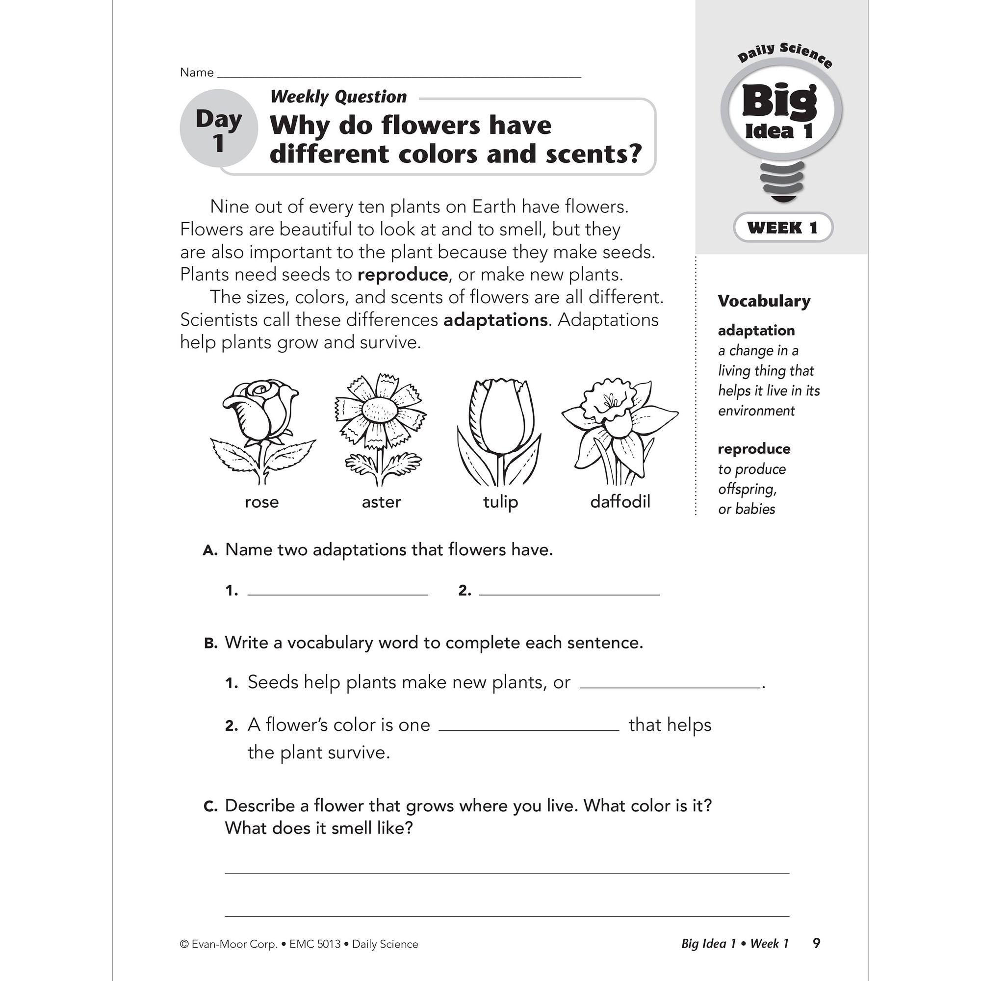 Daily Science, Grade 3 Student Edition Workbook