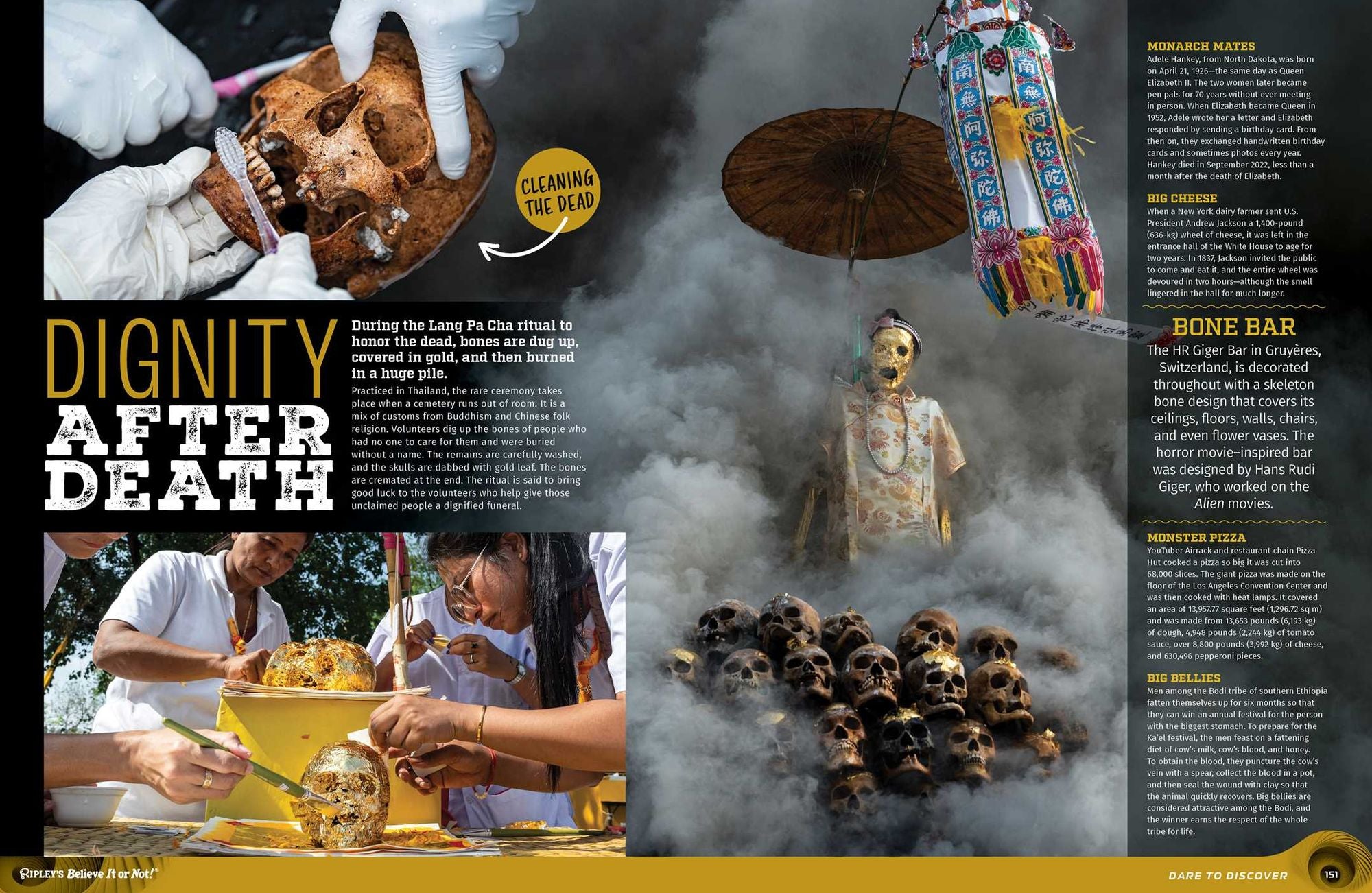 Ripley's Believe It or Not! Dare to Discover