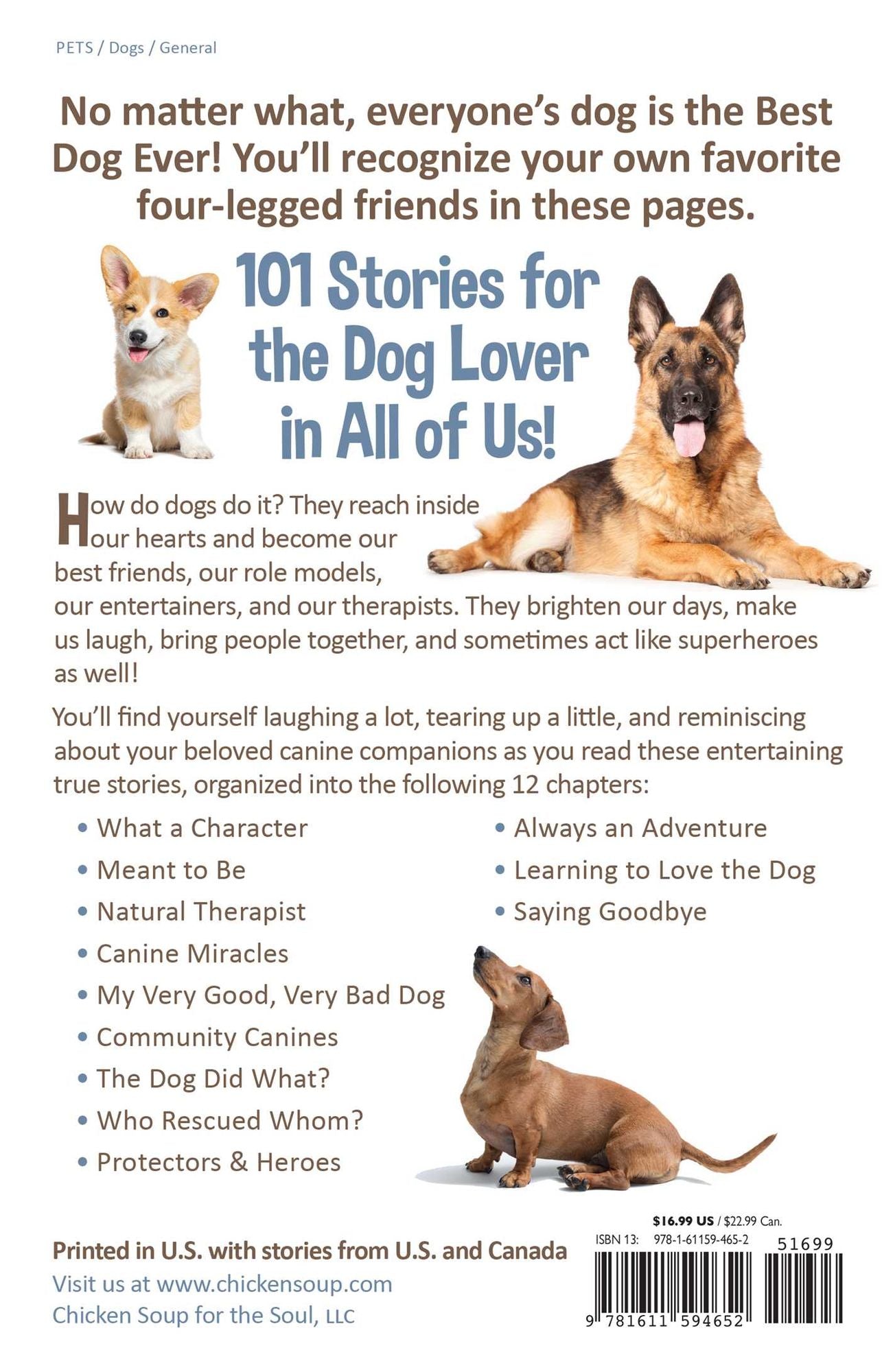 Chicken Soup for the Soul: Best Dog Ever