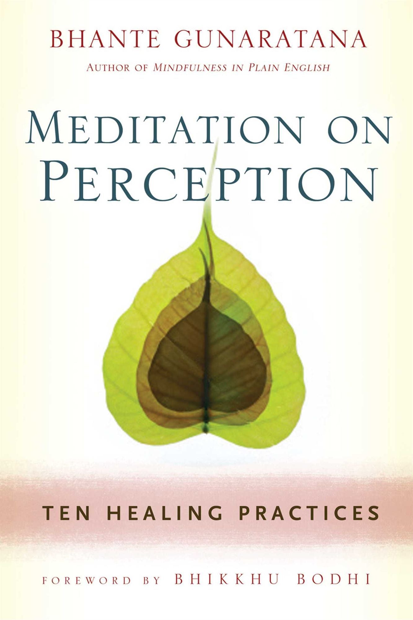 Meditation on Perception: Ten Healing Practices to Cultivate Mindfulness