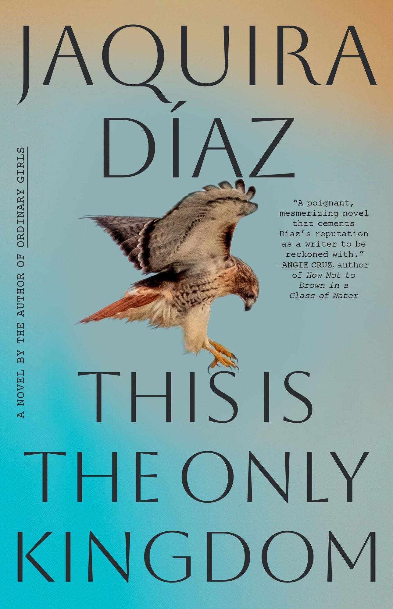 This Is the Only Kingdom: A Novel