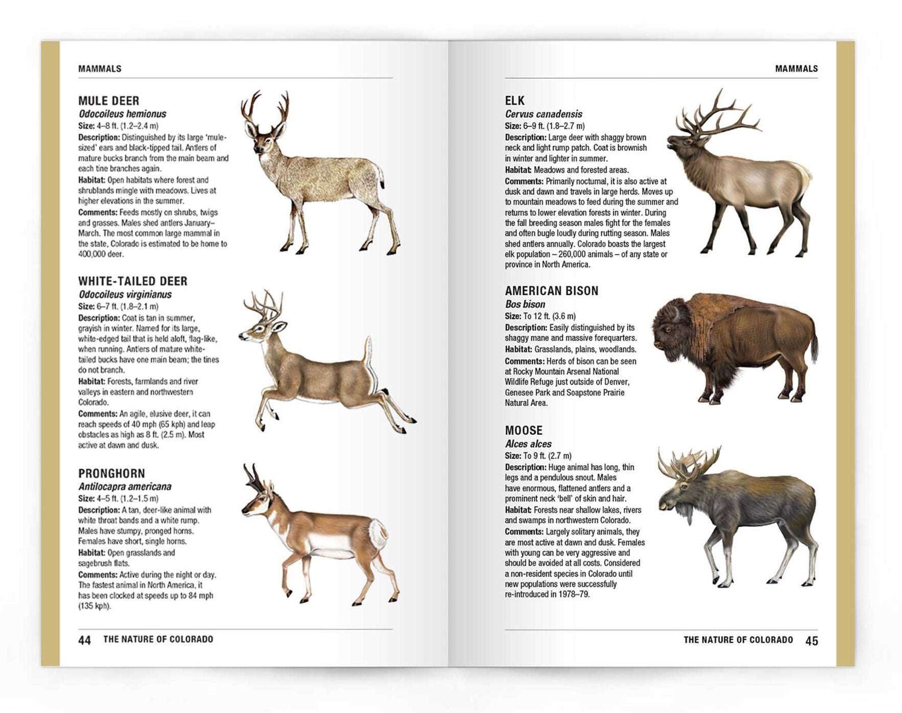 Nature of Colorado: An Introduction to Familiar Plants, Animals & Outstanding Natural Attractions