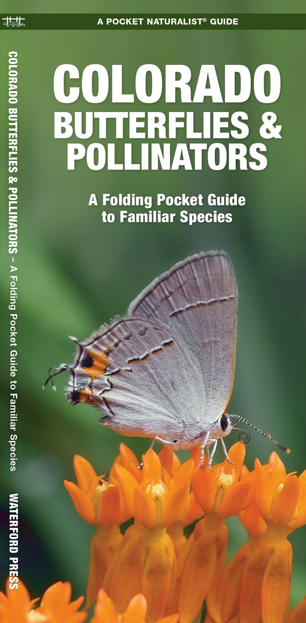 Colorado Butterflies & Pollinators: A Folding Pocket Guide to Familiar Species