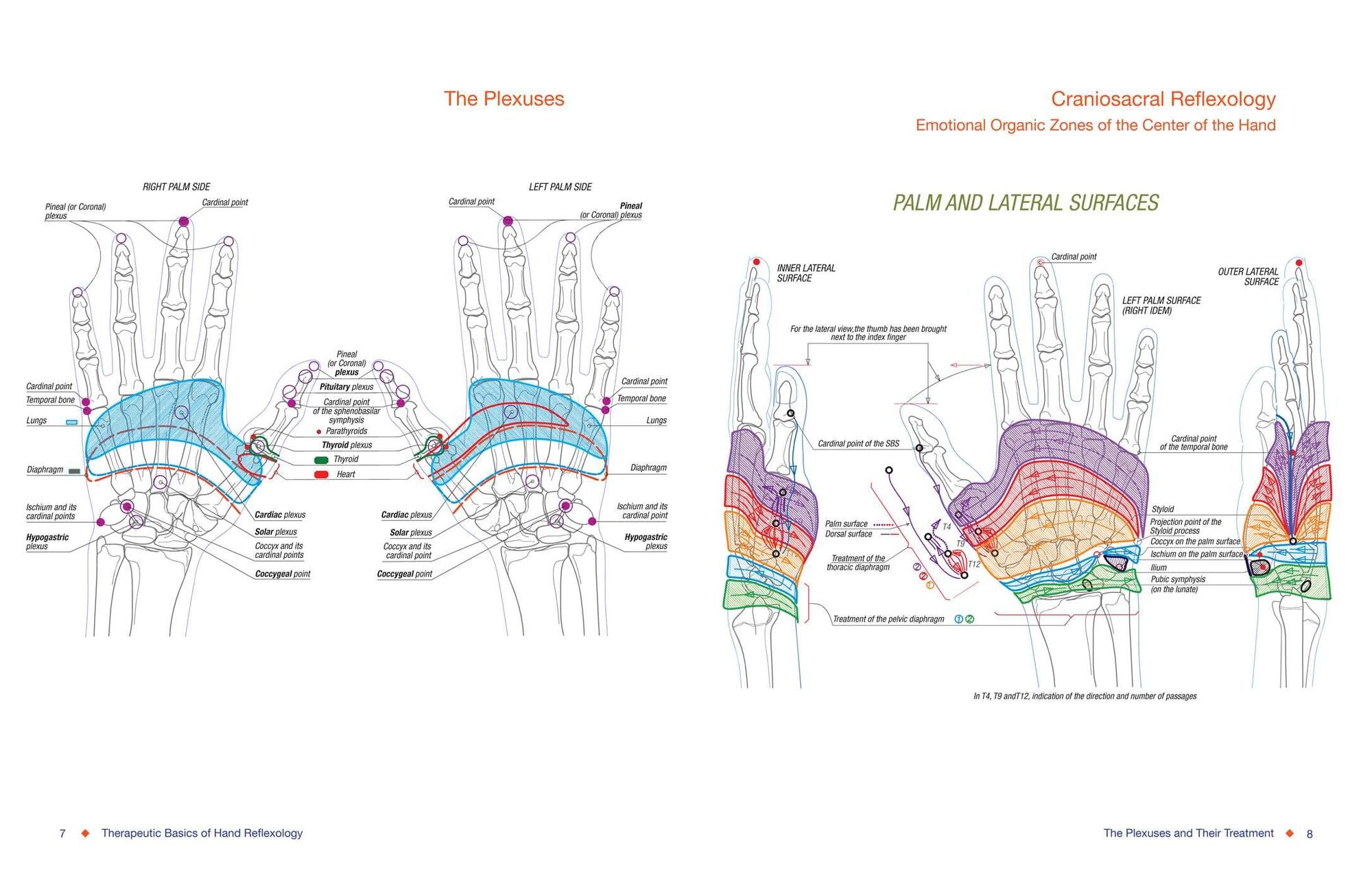 Total Reflexology of the Hand: An Advanced Guide to the Integration of Craniosacral Therapy and Reflexology
