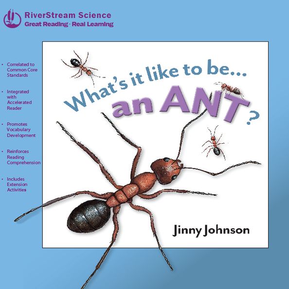 An Ant? (What's It Like to Be Series)