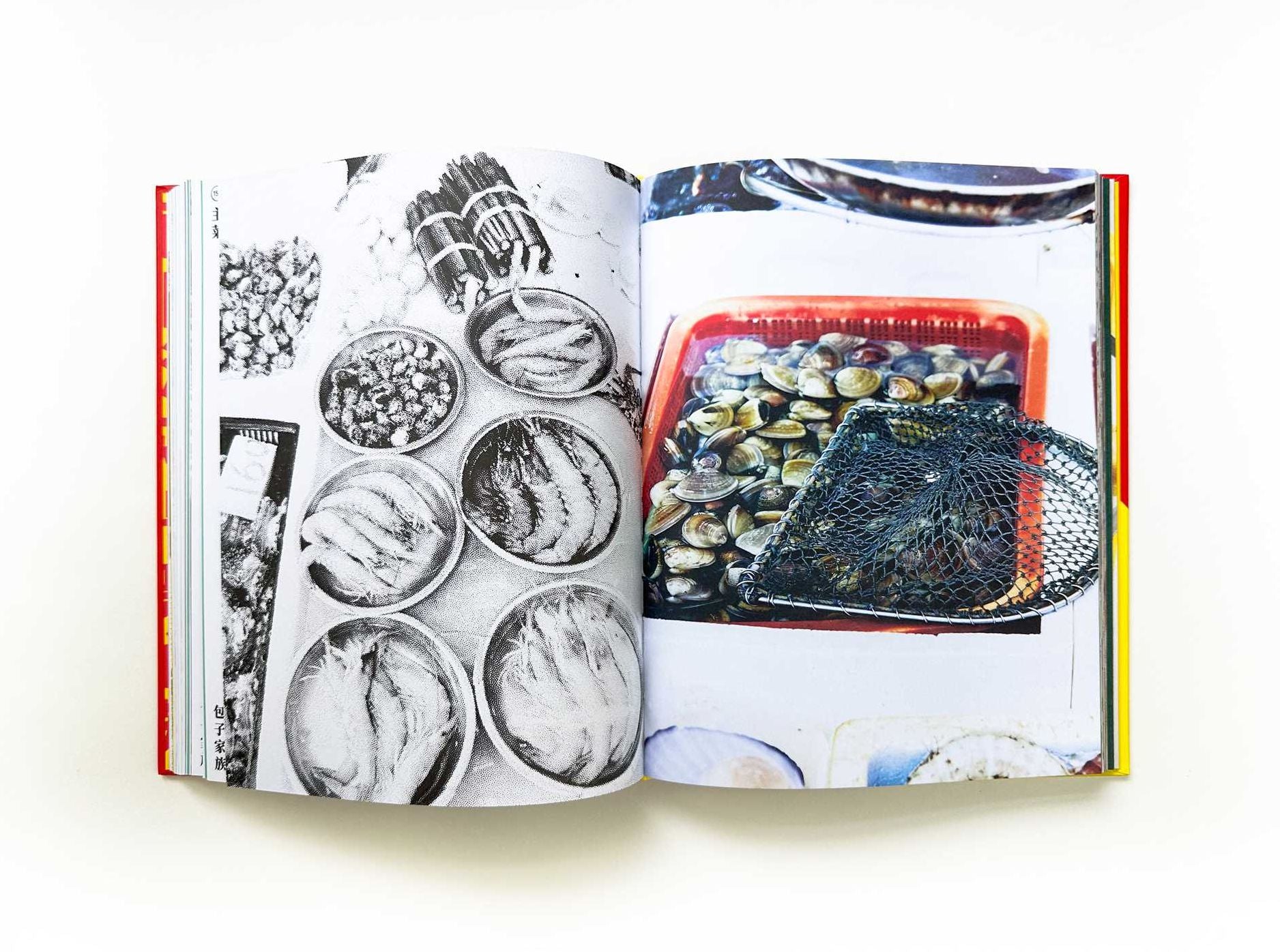 Bao Family Cookbook: Recipes from the Eight Culinary Regions of China