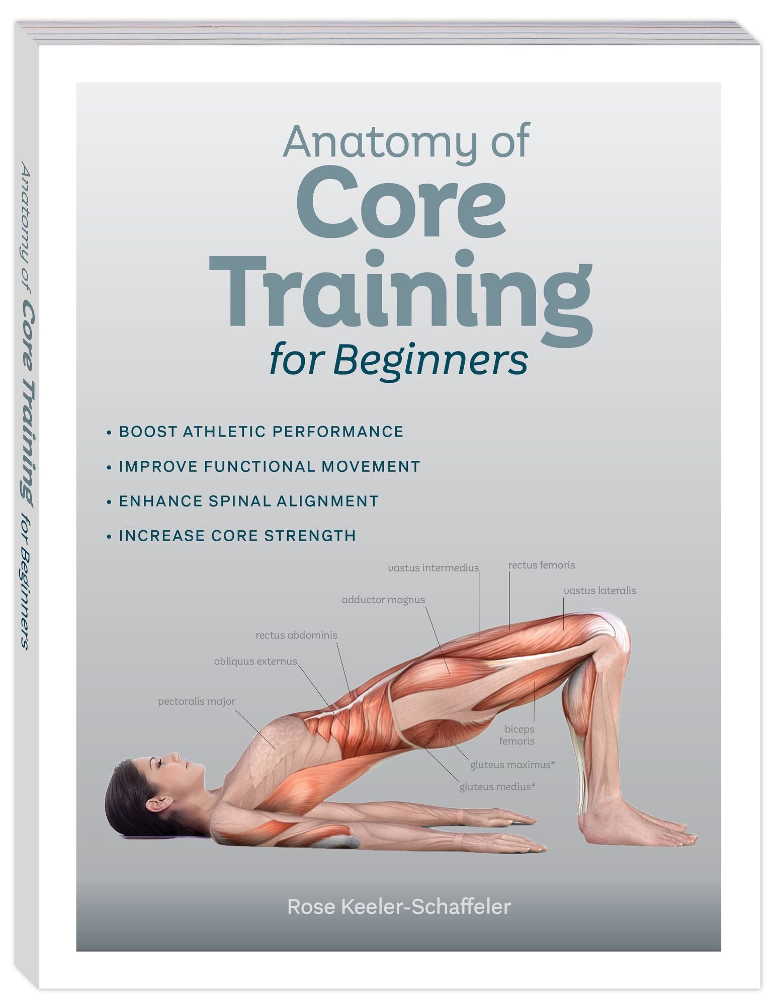 Anatomy of Core Training for beginners